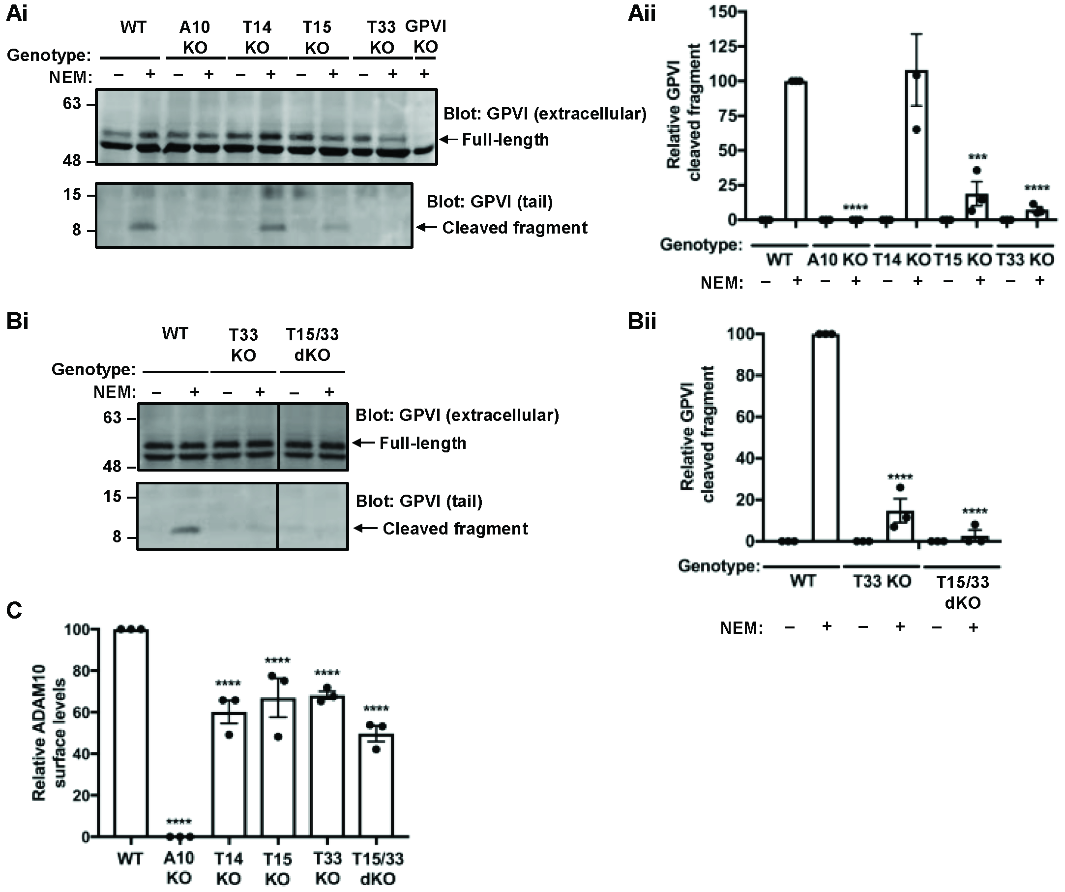 Ijms 23 02440 g002 550