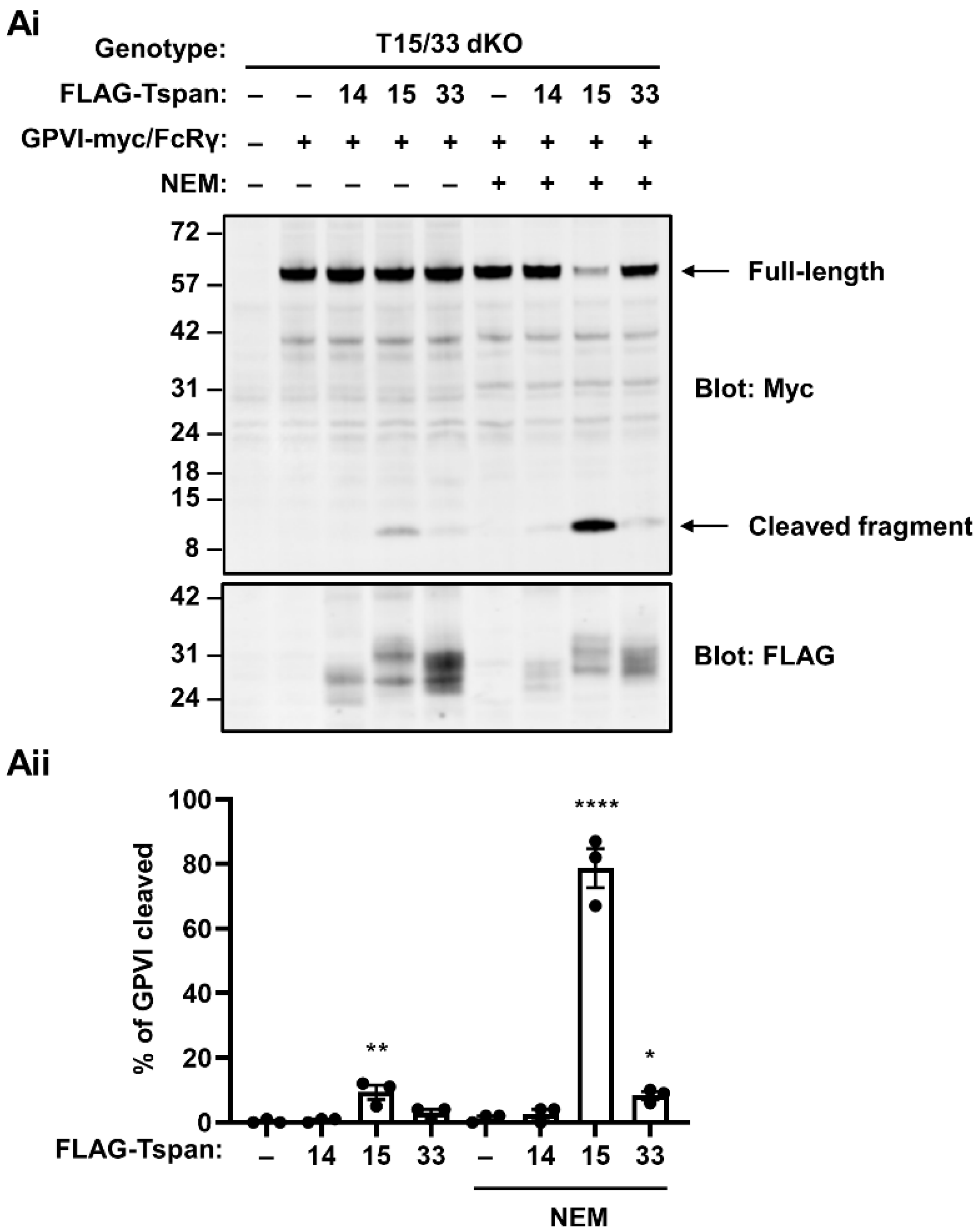 Ijms 23 02440 g003 550