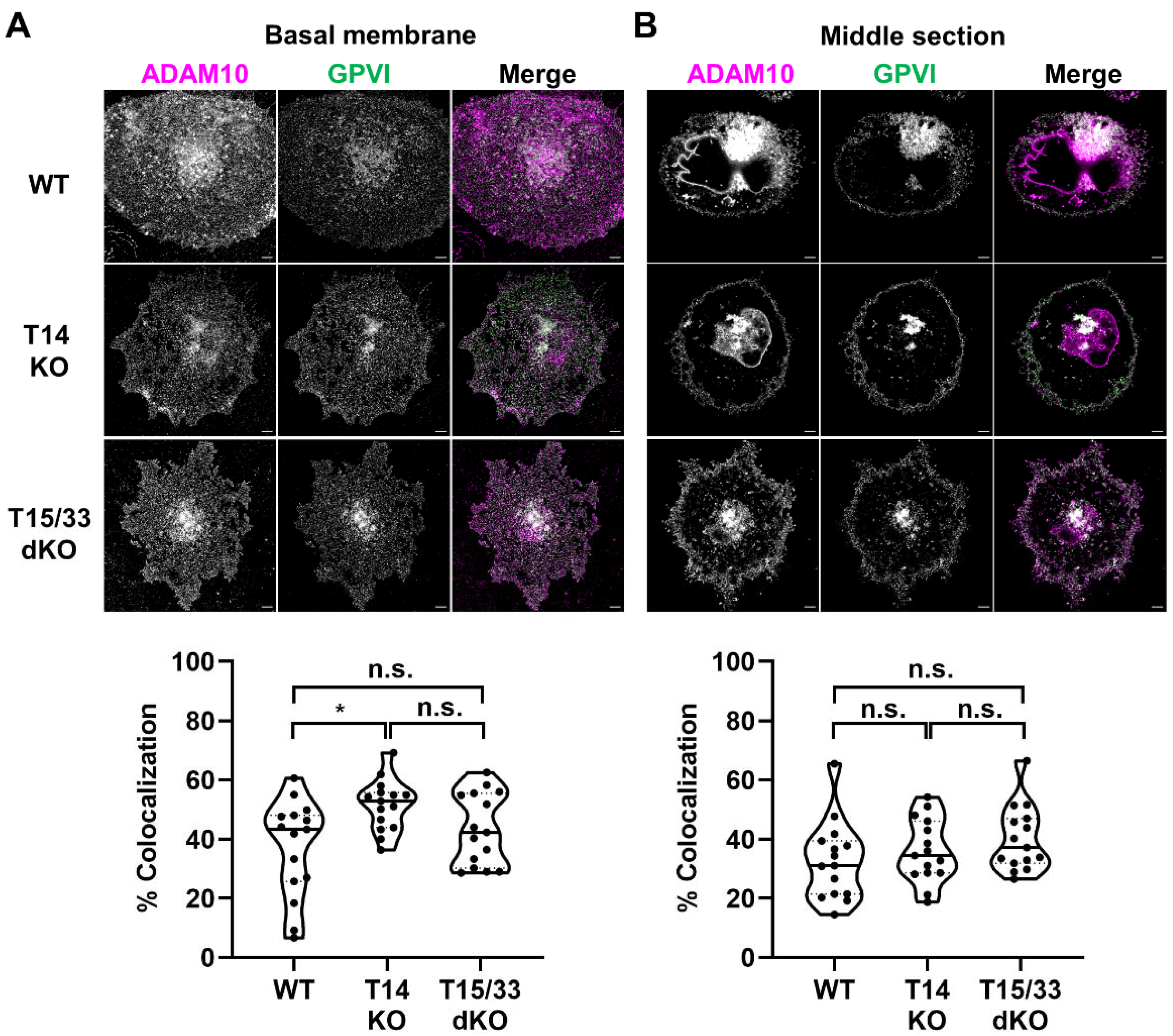 Ijms 23 02440 g006 550
