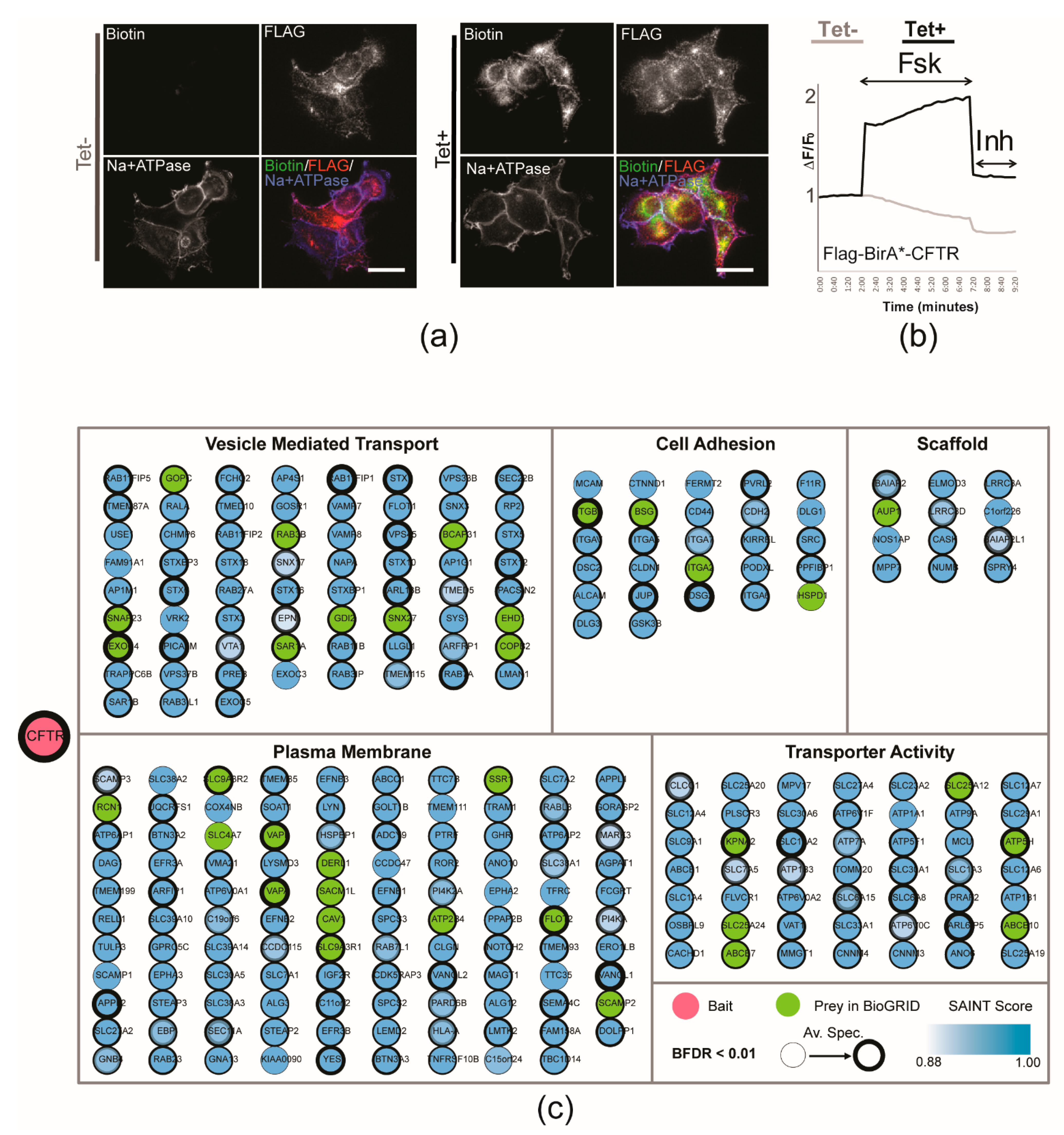 Ijms 23 02442 g001 550