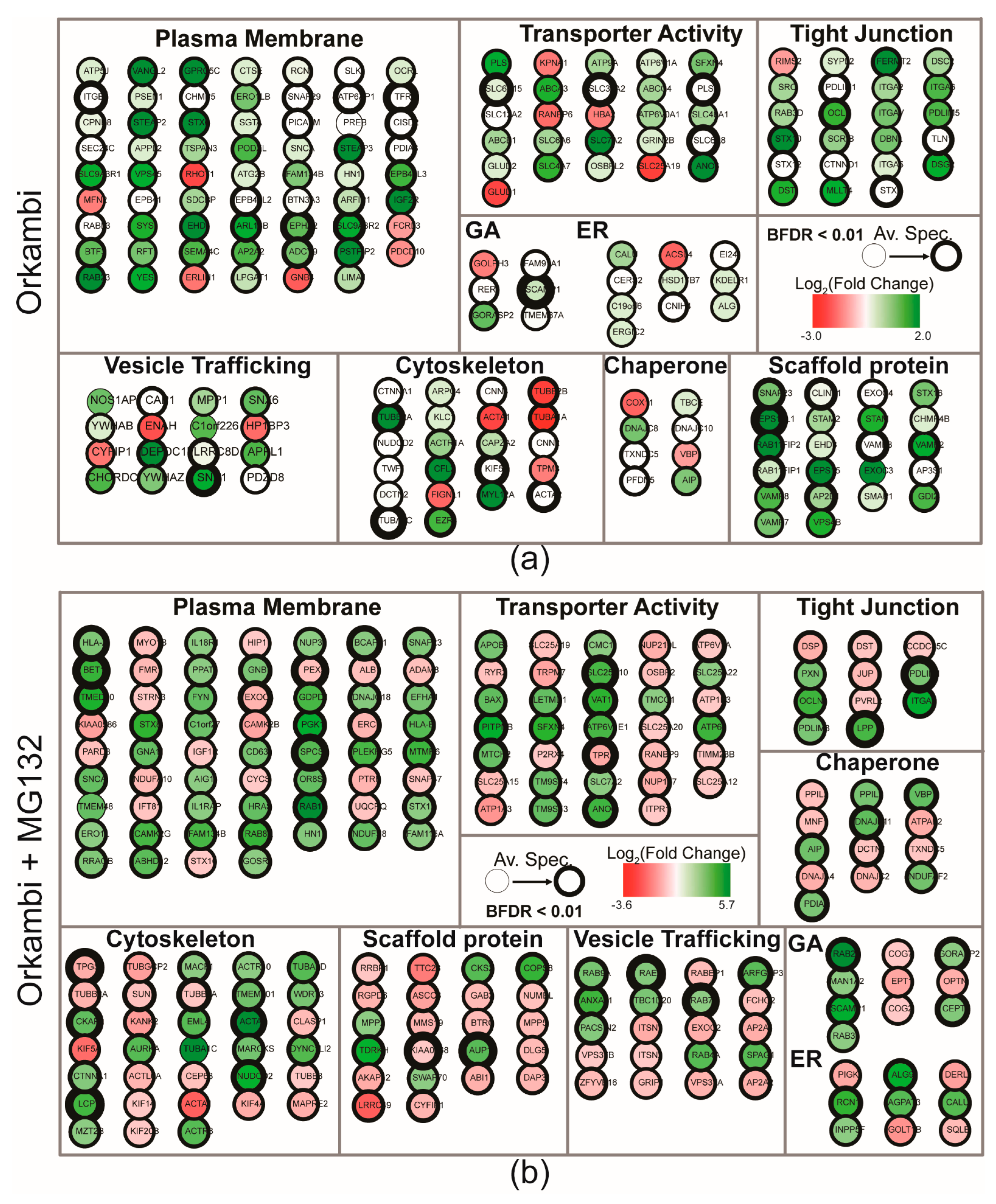 Ijms 23 02442 g003 550