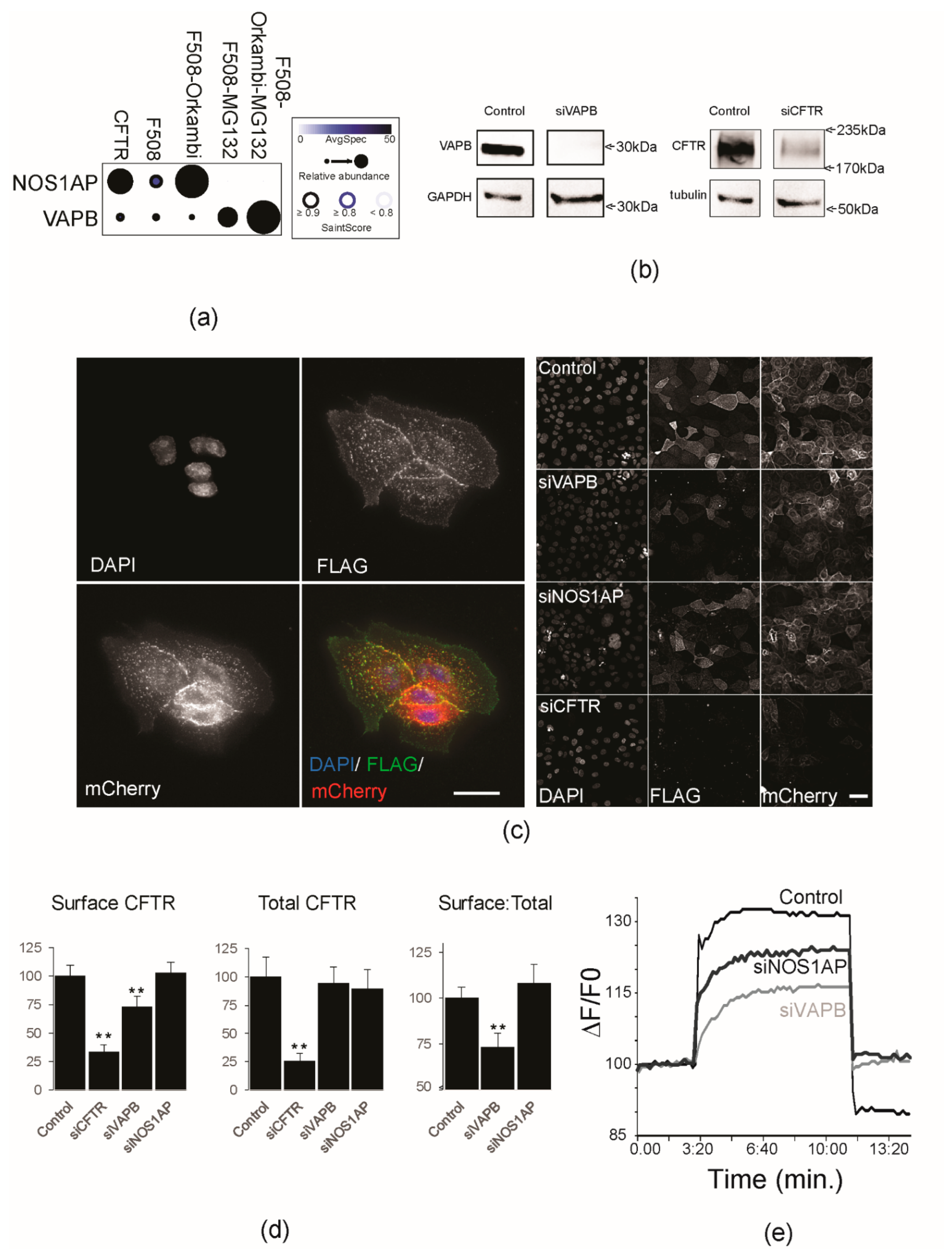Ijms 23 02442 g005 550