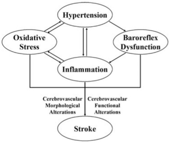 Hypertension discount and stroke