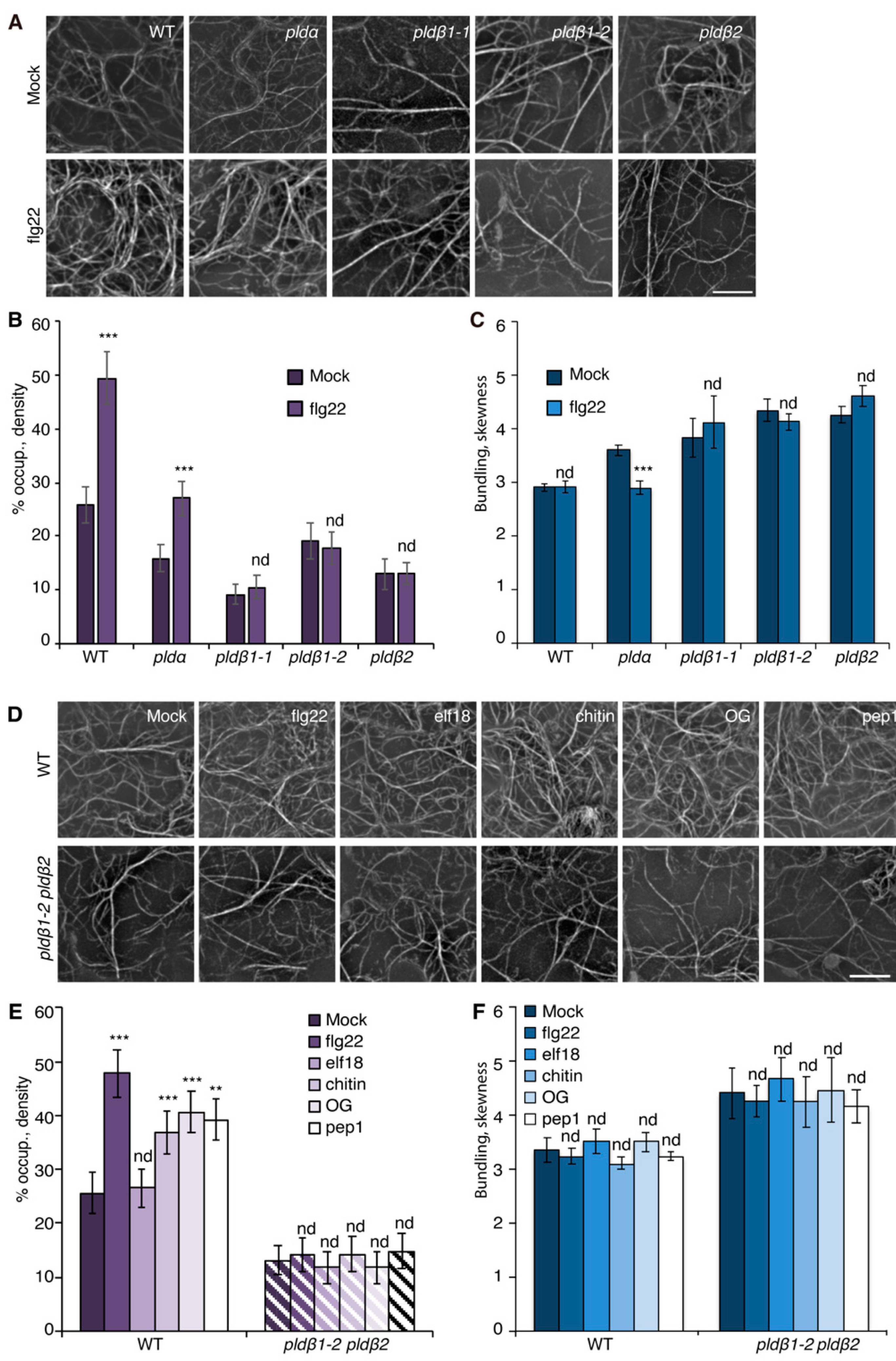 Ijms 23 02447 g001 Ijms 23 02447 g001