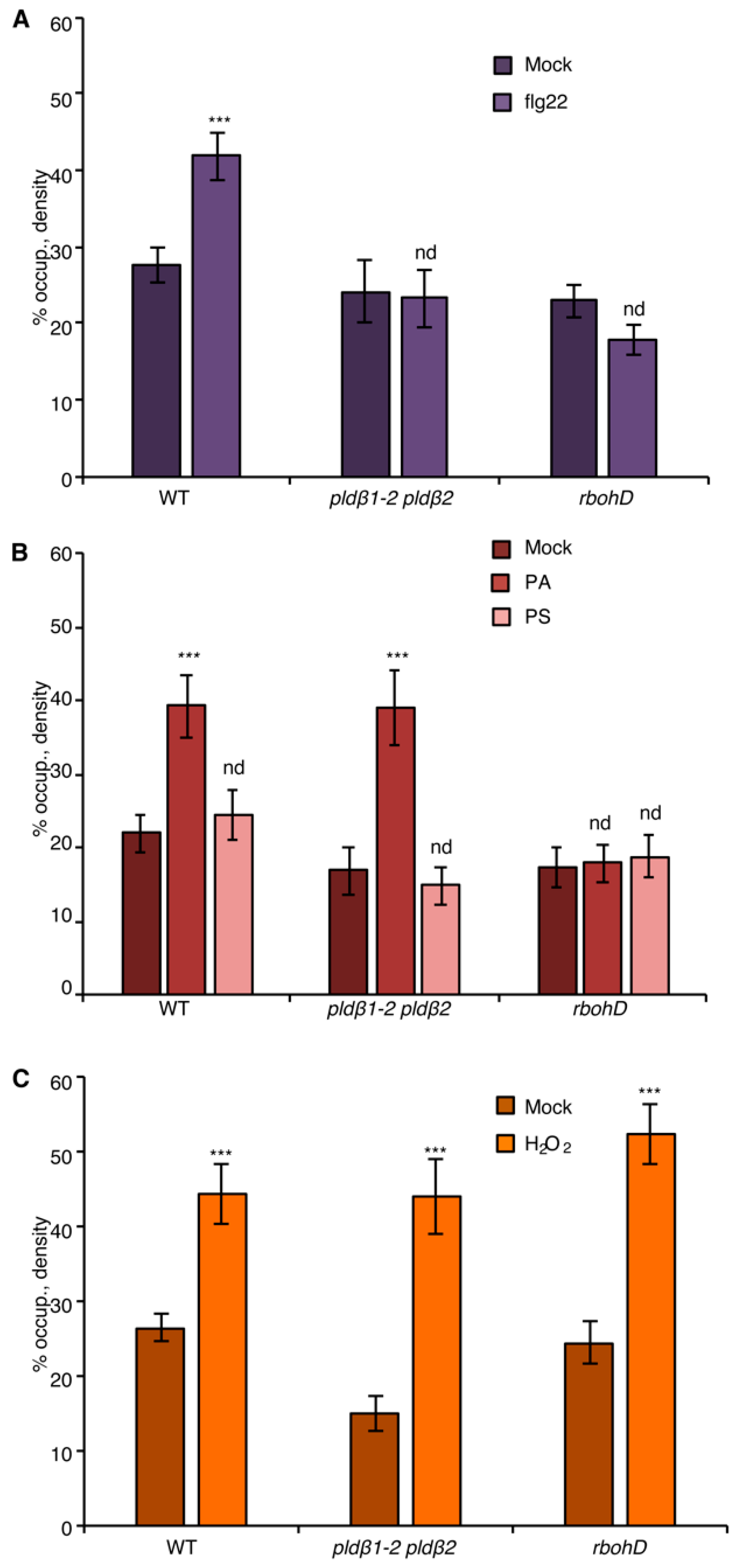 Ijms 23 02447 g003 Ijms 23 02447 g003
