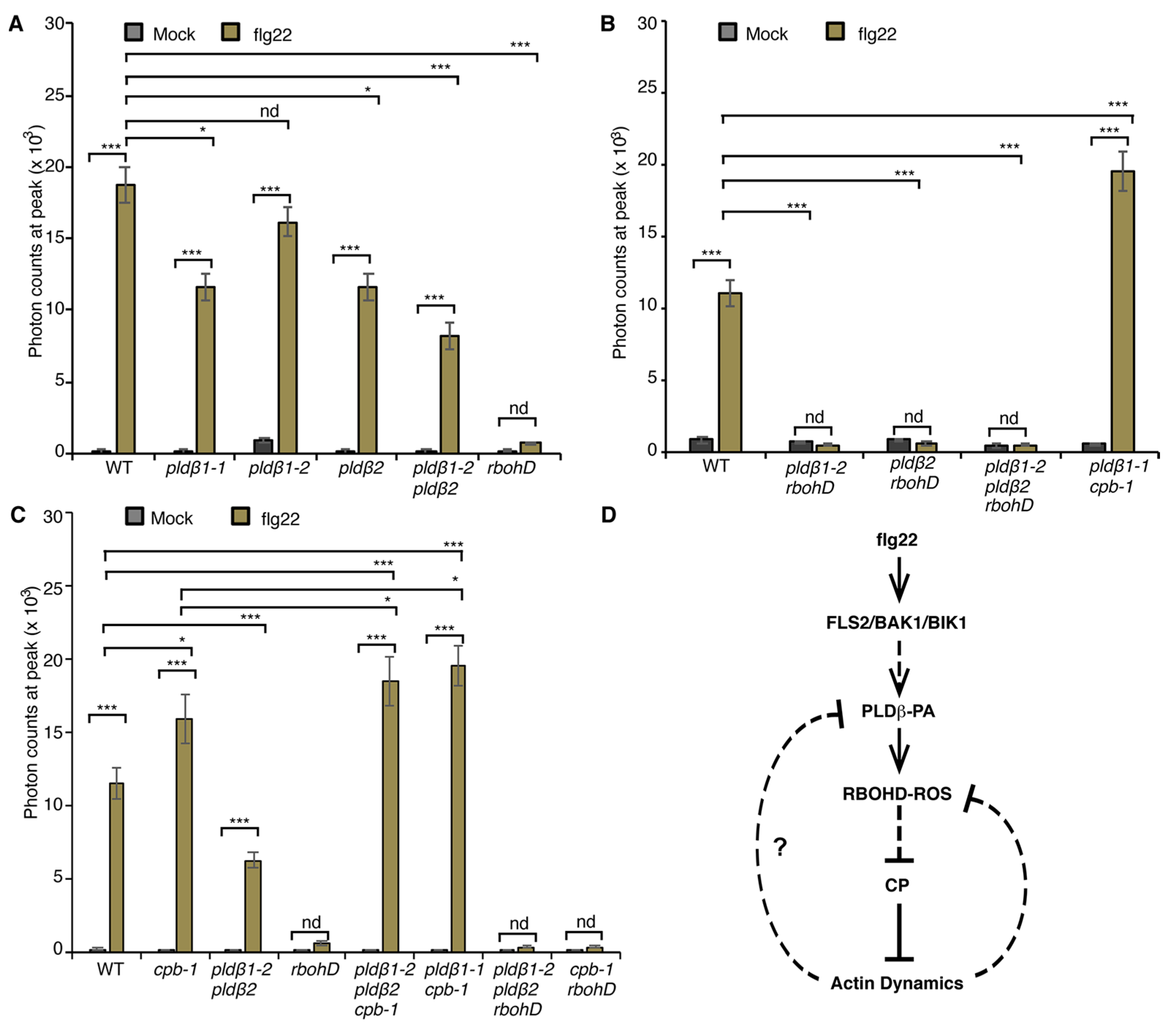 Ijms 23 02447 g006 Ijms 23 02447 g006
