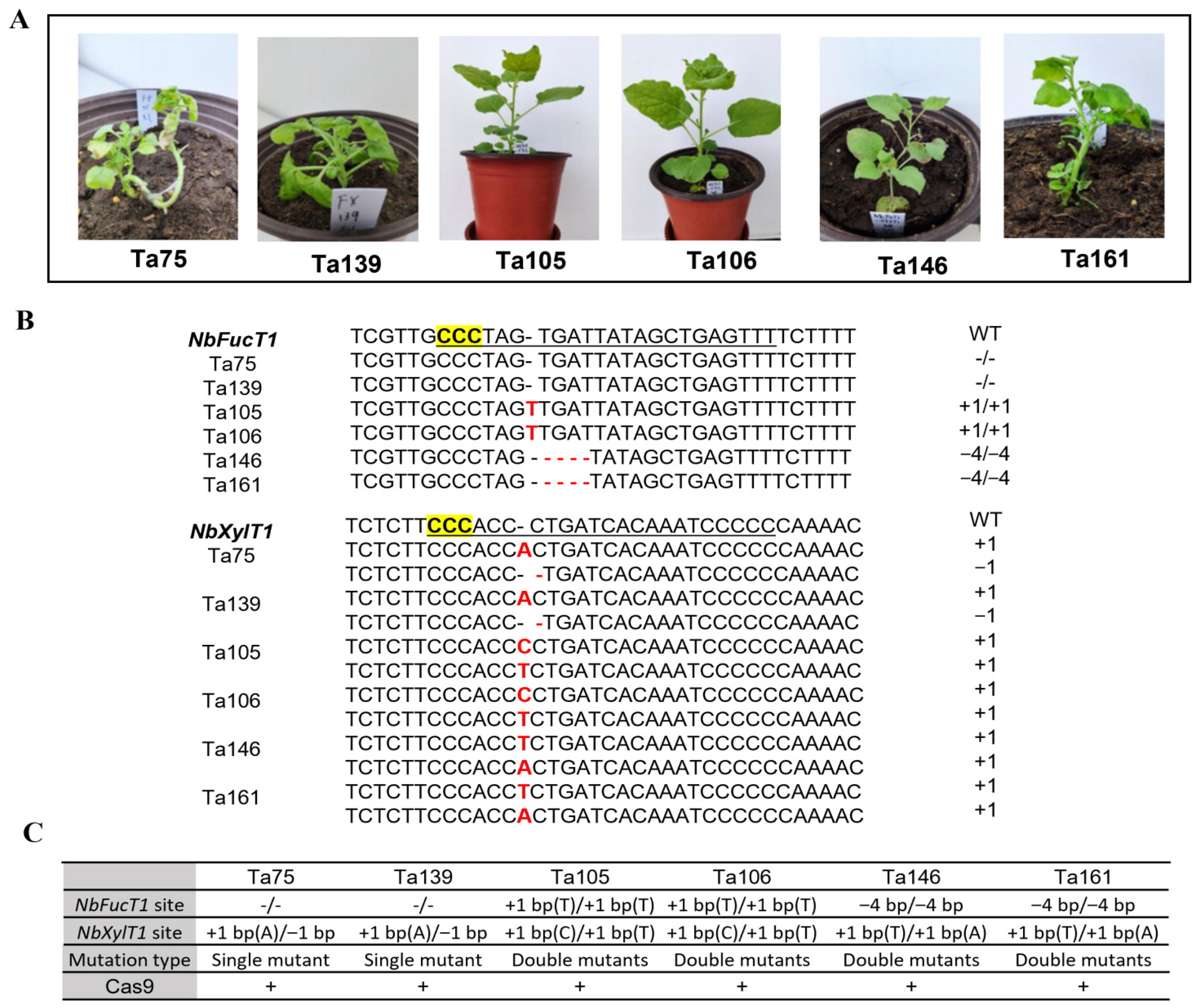 Ijms 23 02450 g002 550