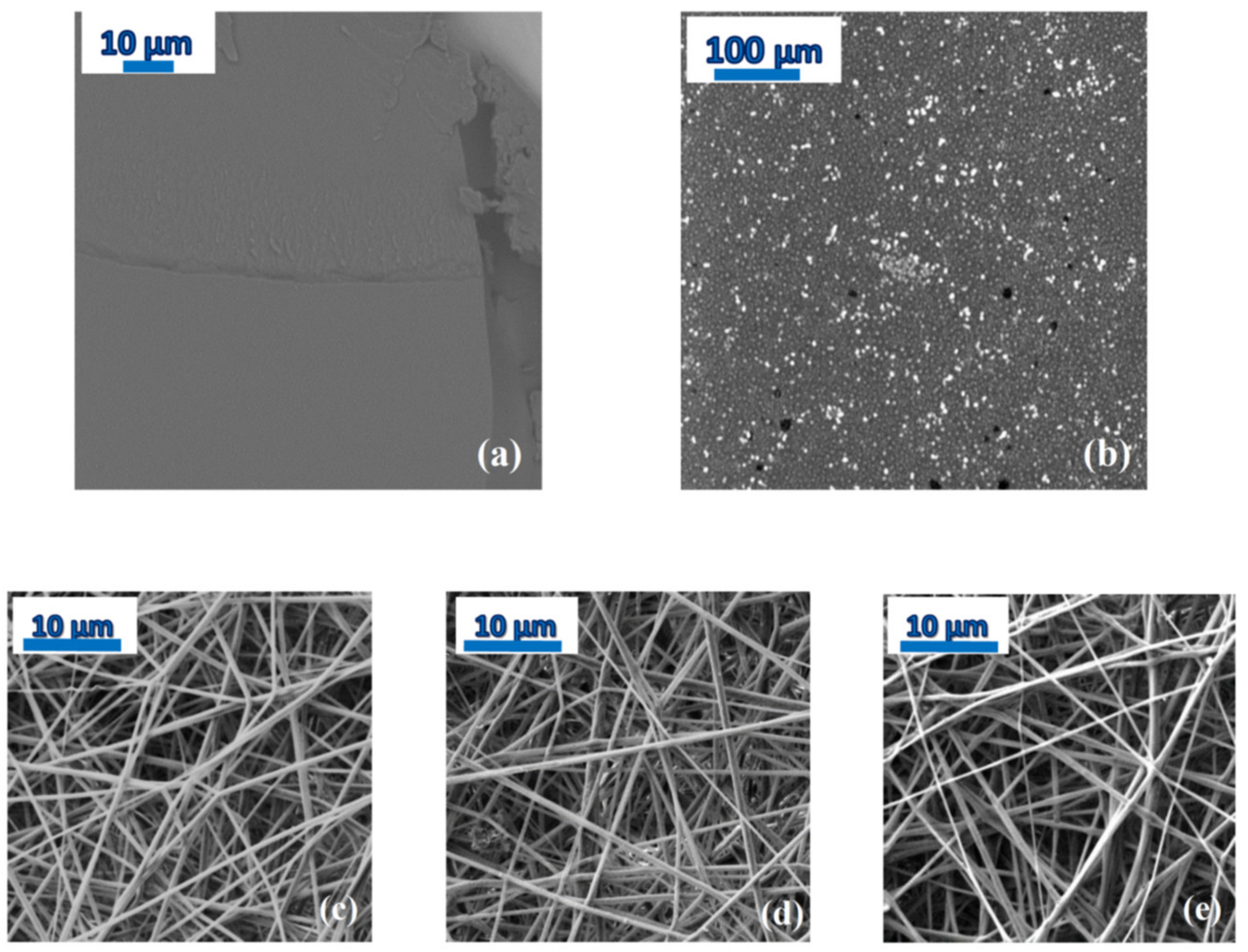 Ijms 23 02456 g004 550