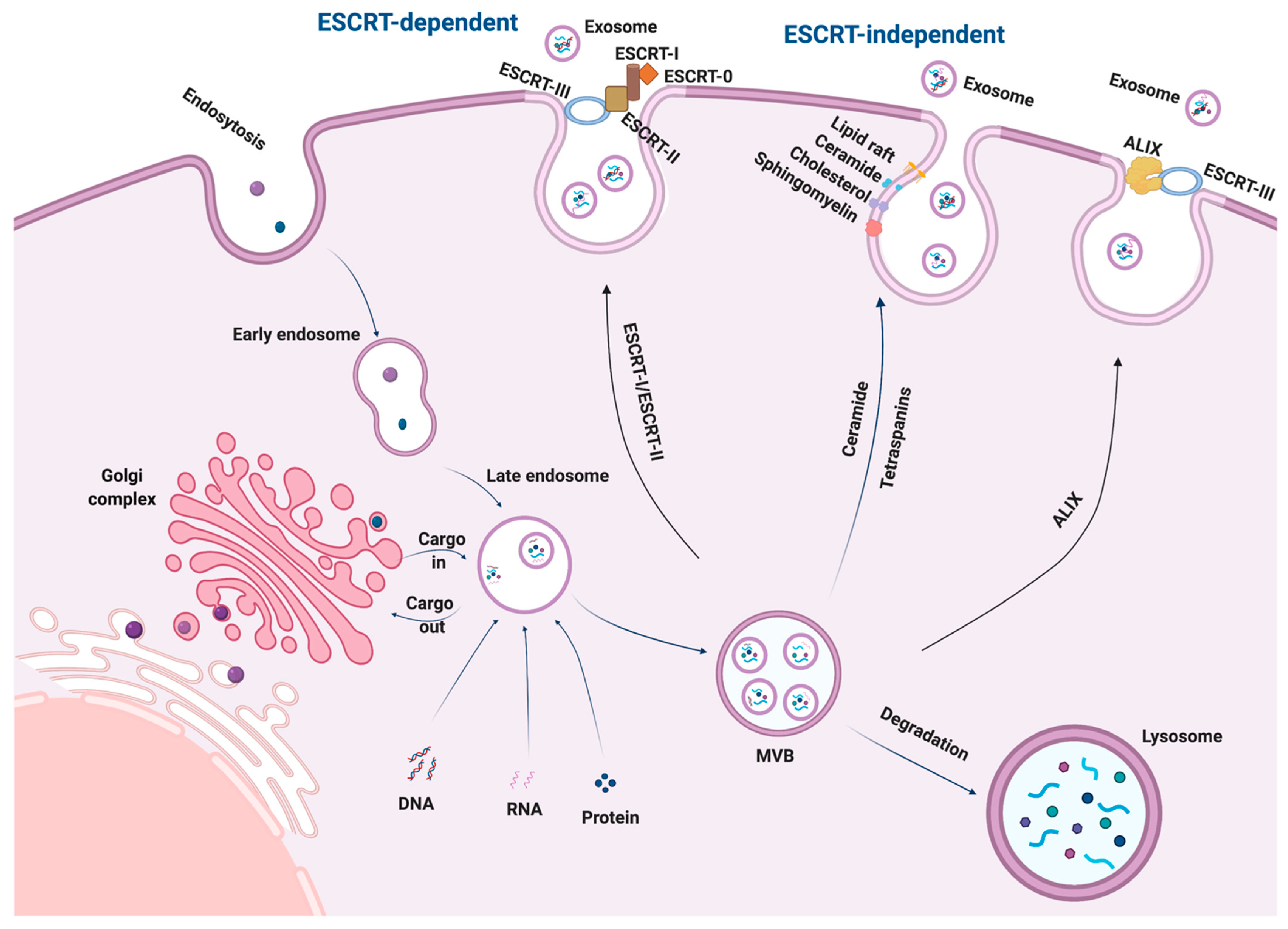 Ijms 23 02461 g001 550