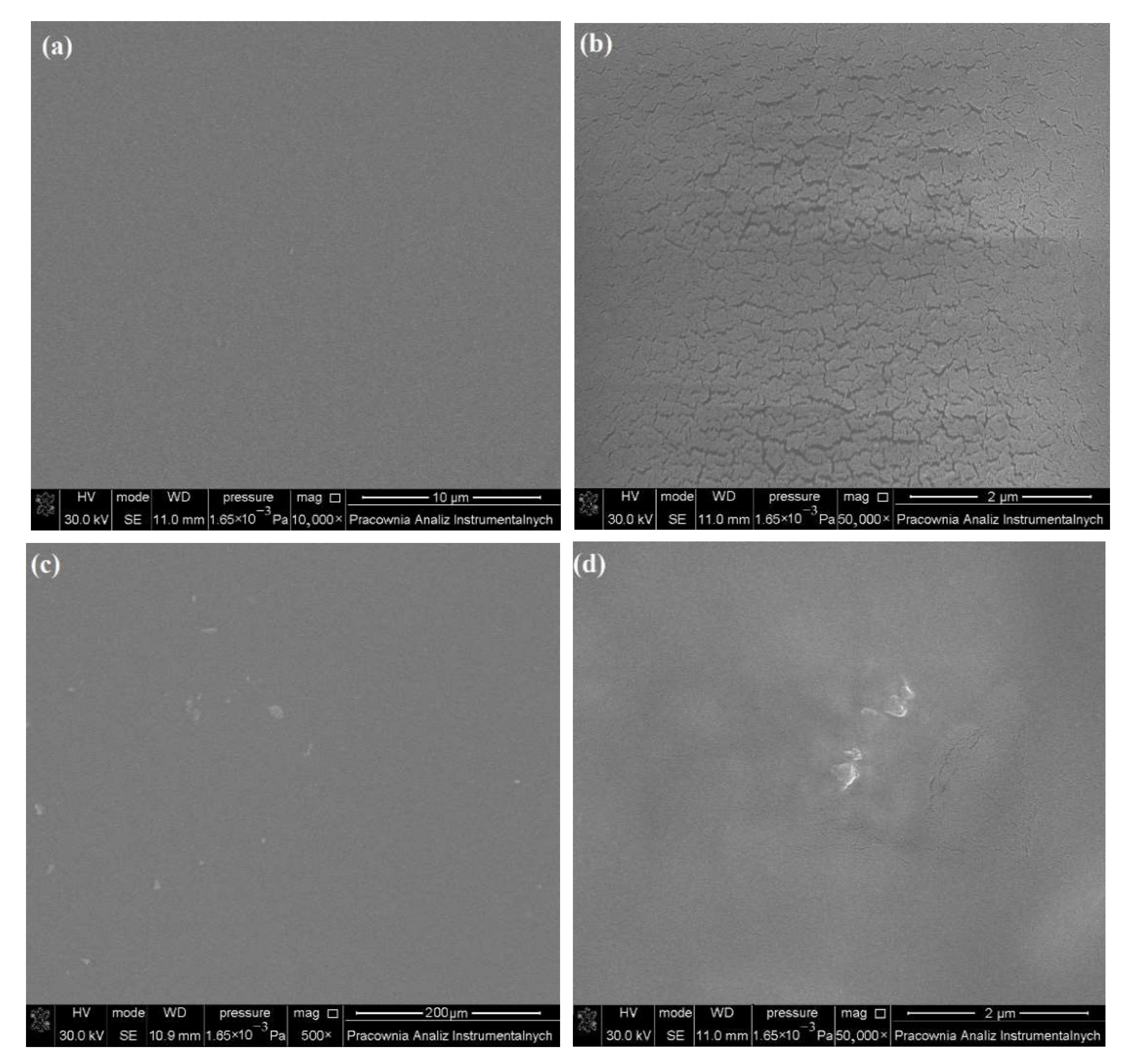 Ijms 23 02463 g004 550