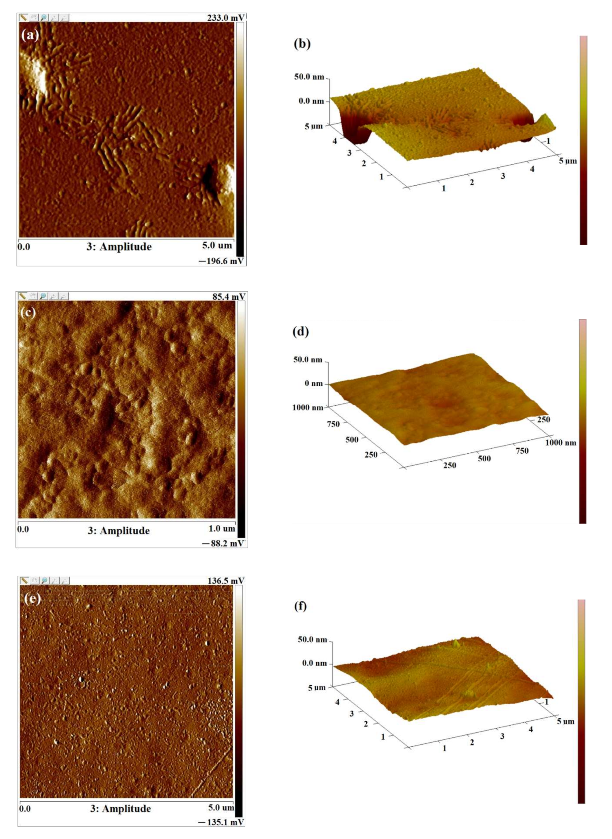 Ijms 23 02463 g005 550