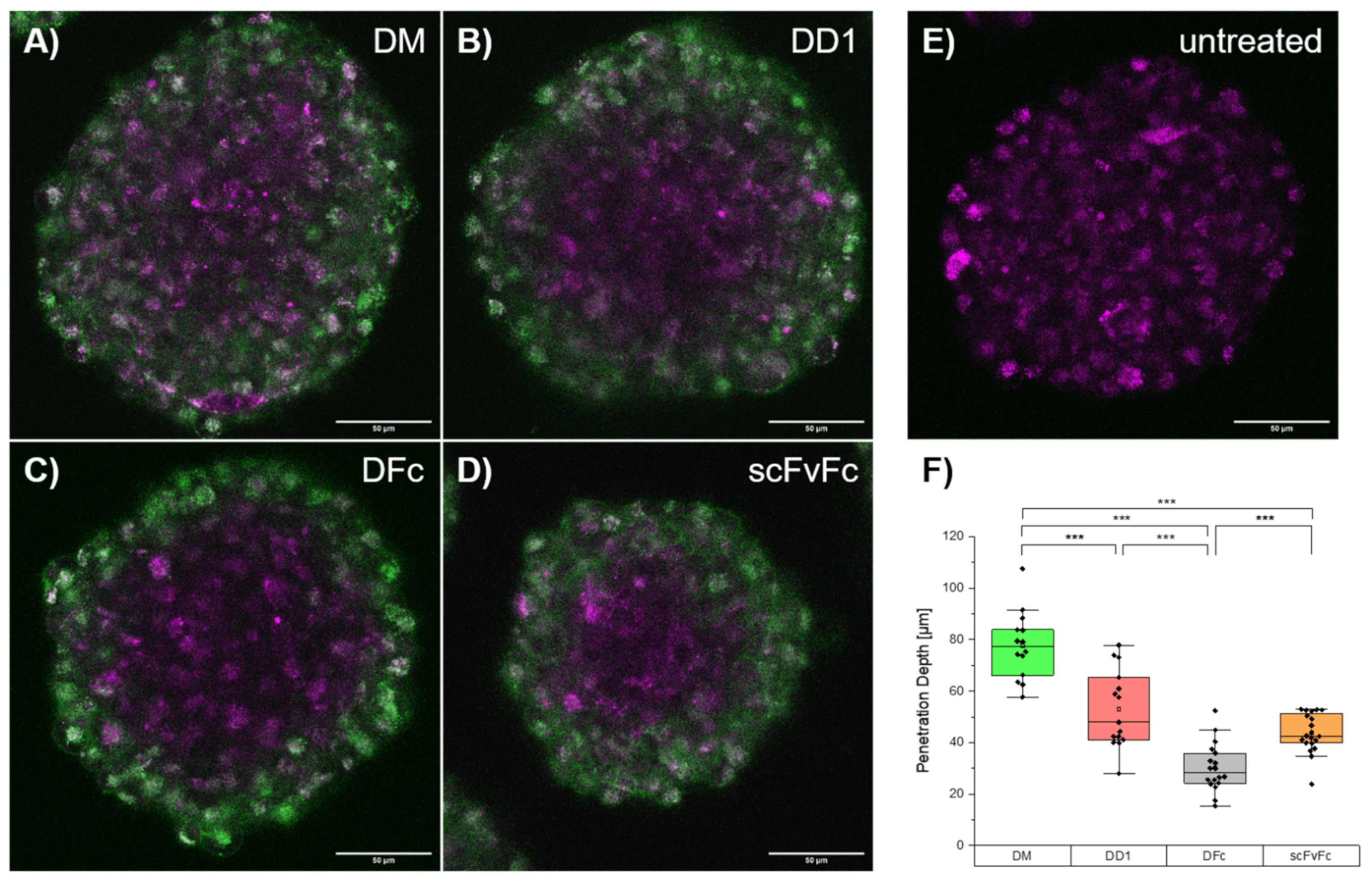 Ijms 23 02468 g004 Ijms 23 02468 g004