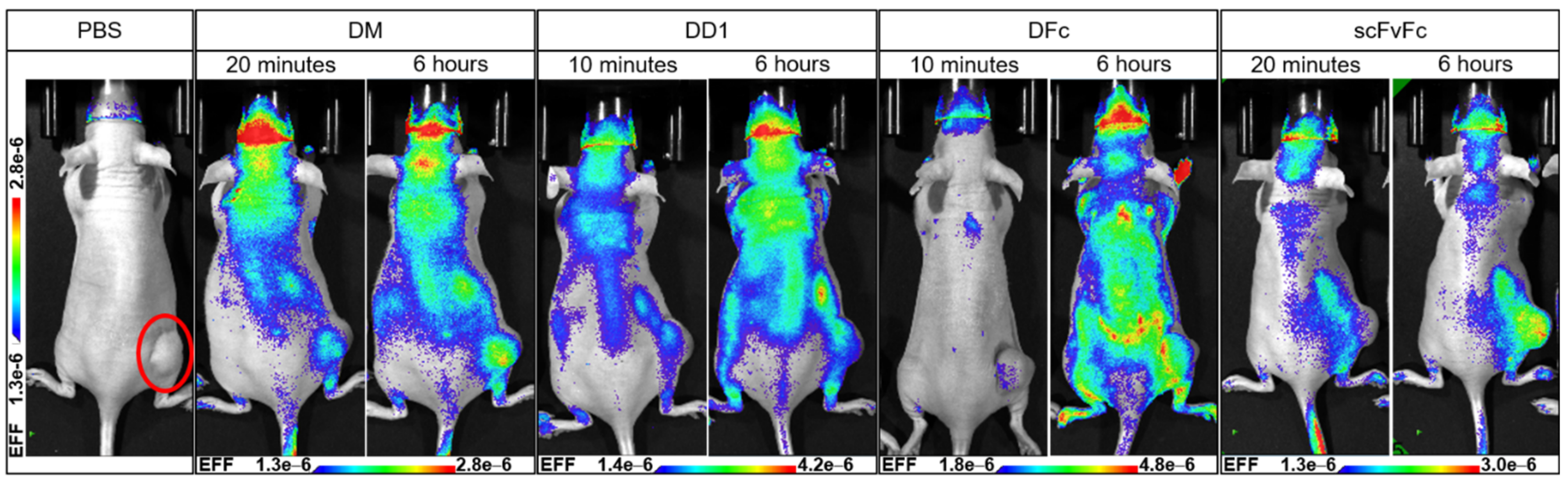 Ijms 23 02468 g005 Ijms 23 02468 g005