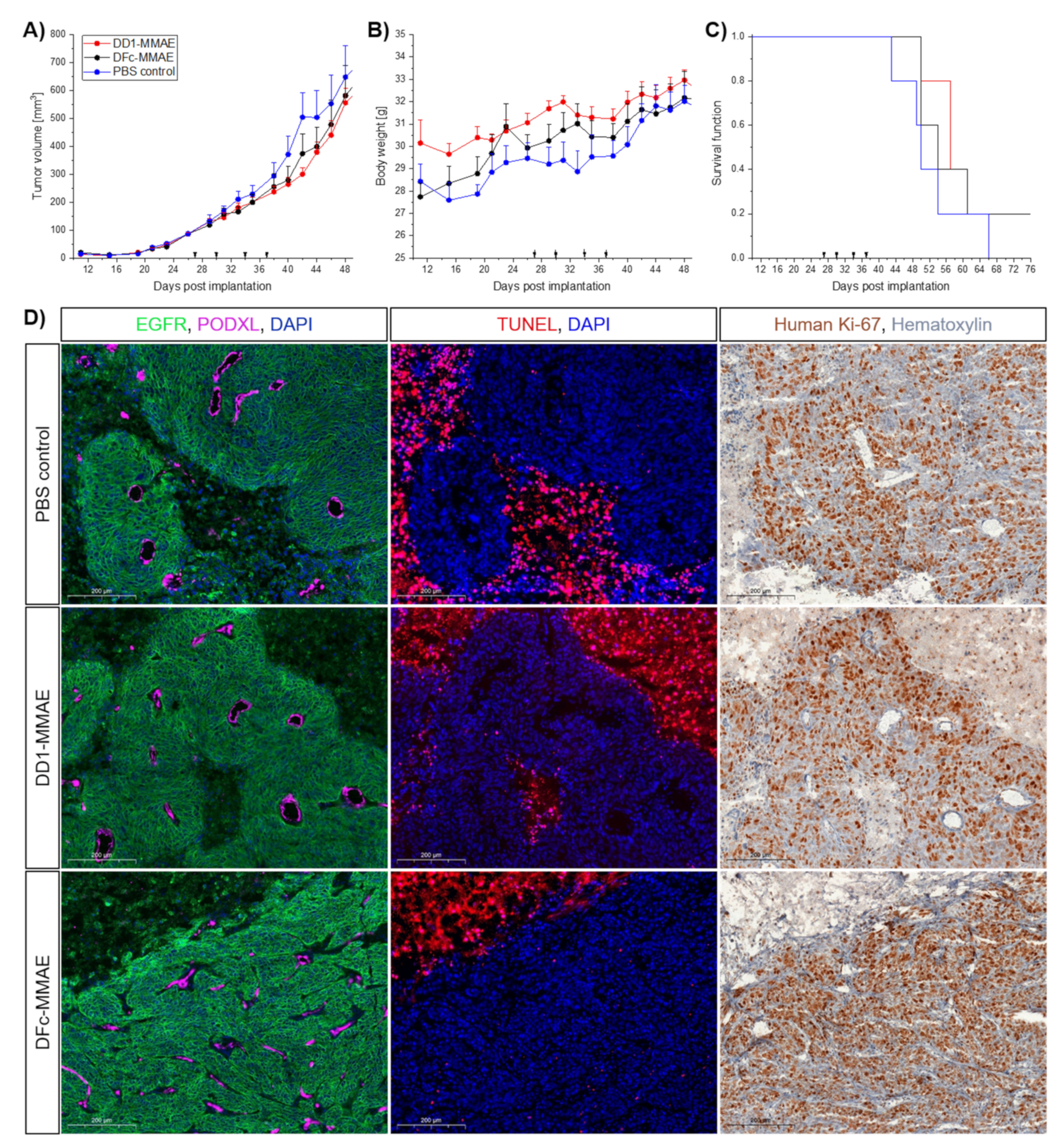 Ijms 23 02468 g007 Ijms 23 02468 g007