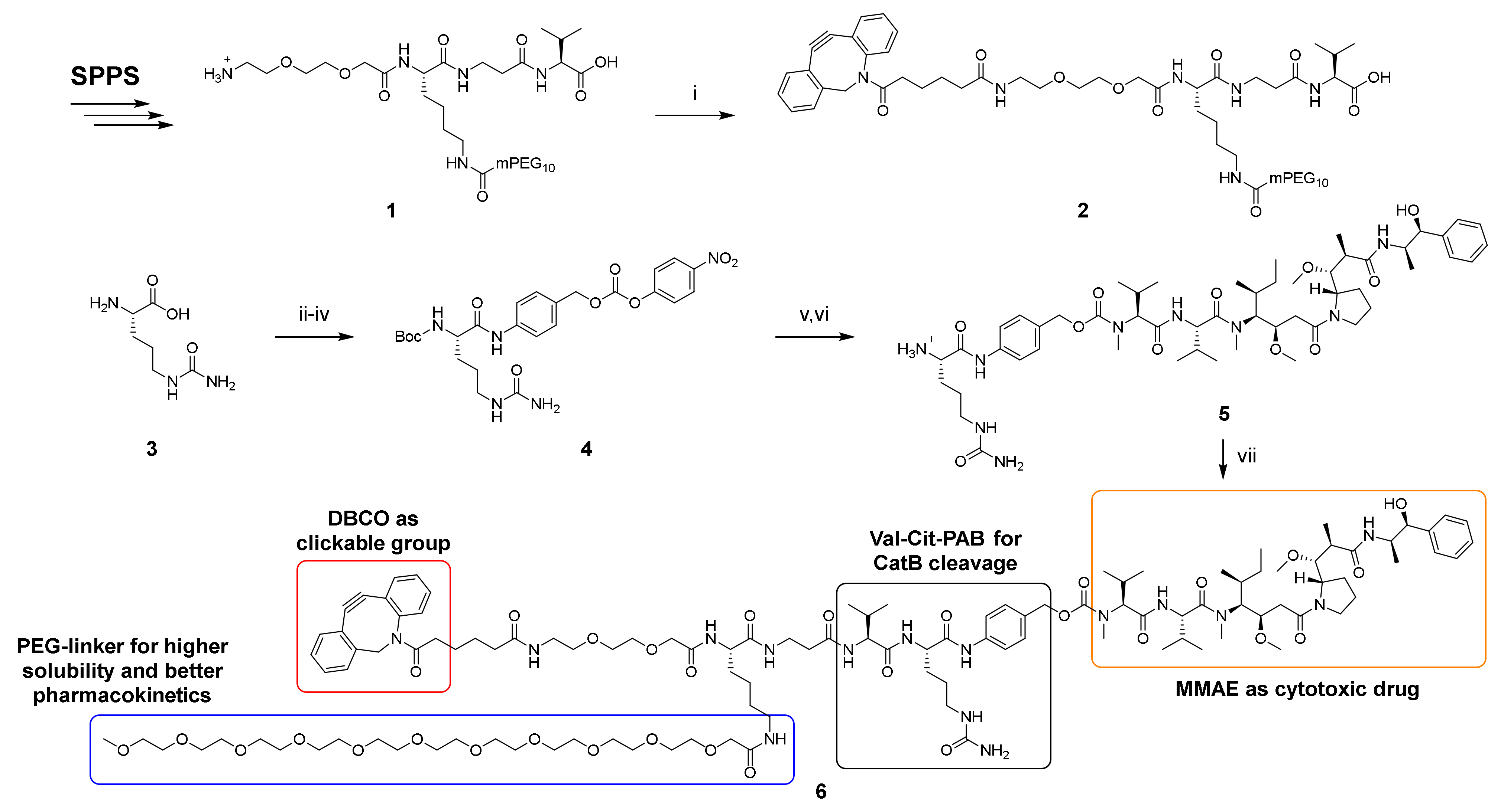 Ijms 23 02468 sch001 Ijms 23 02468 sch001