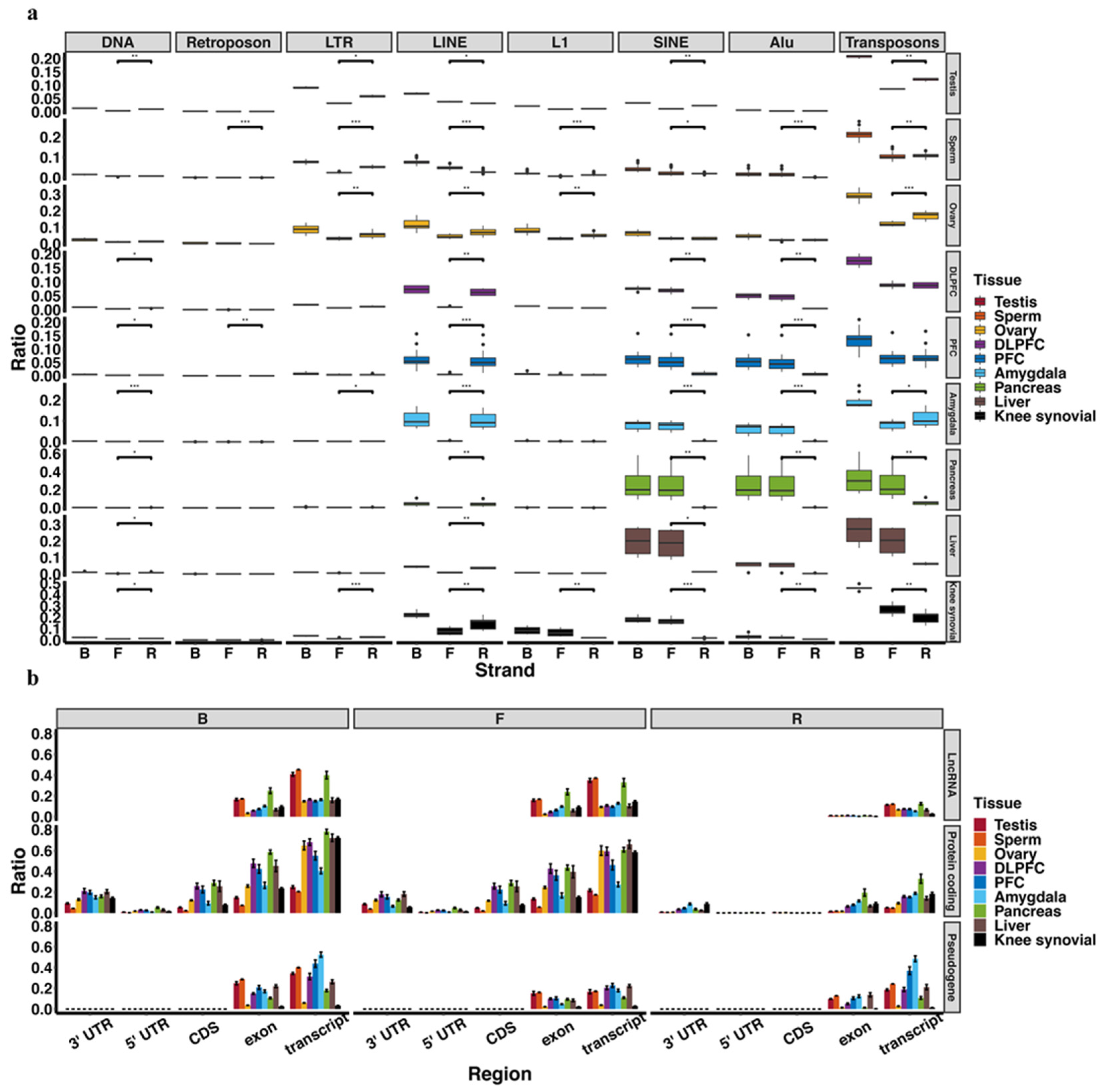 Ijms 23 02469 g004 Ijms 23 02469 g004