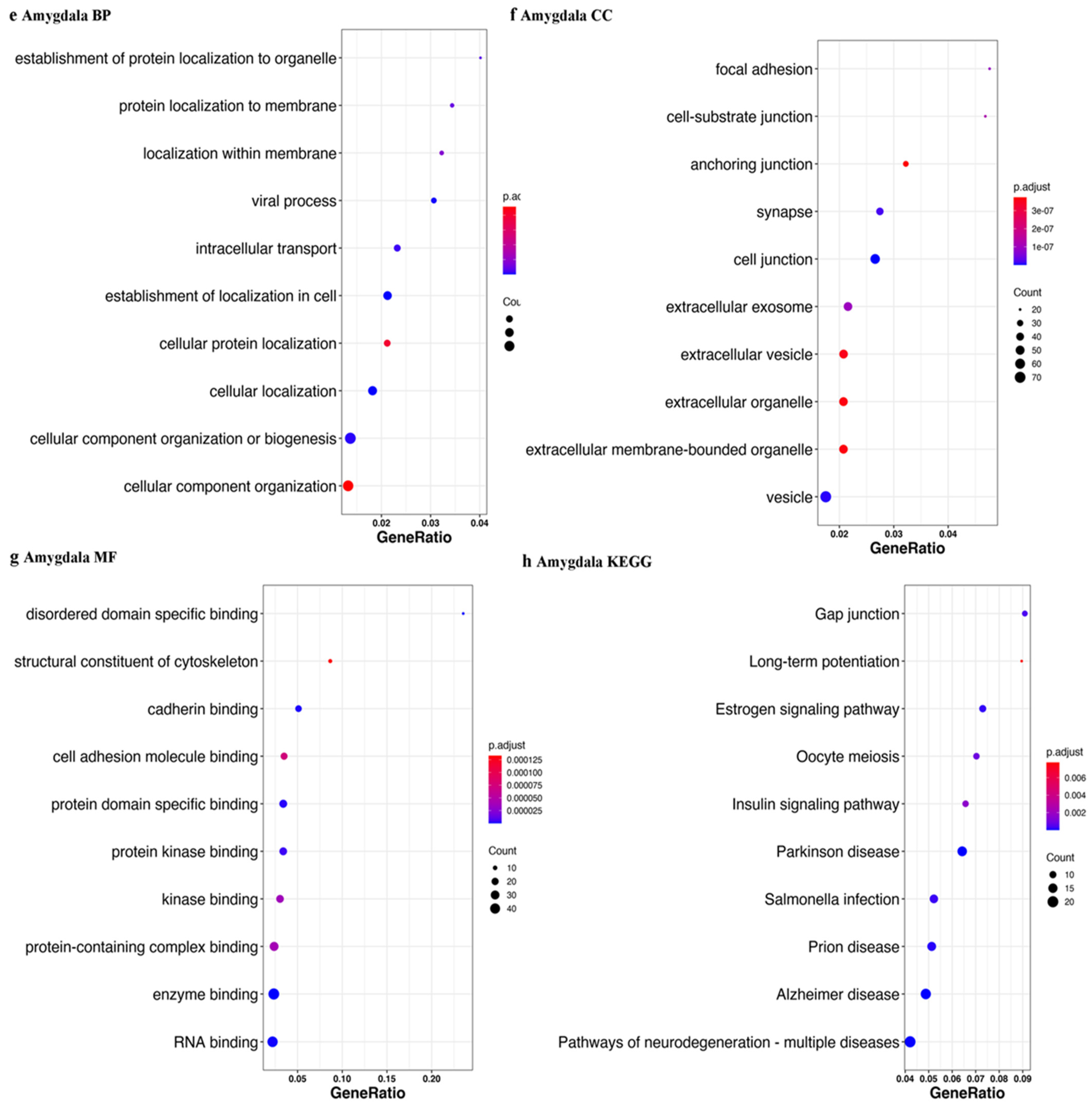 Ijms 23 02469 g010b Ijms 23 02469 g010b