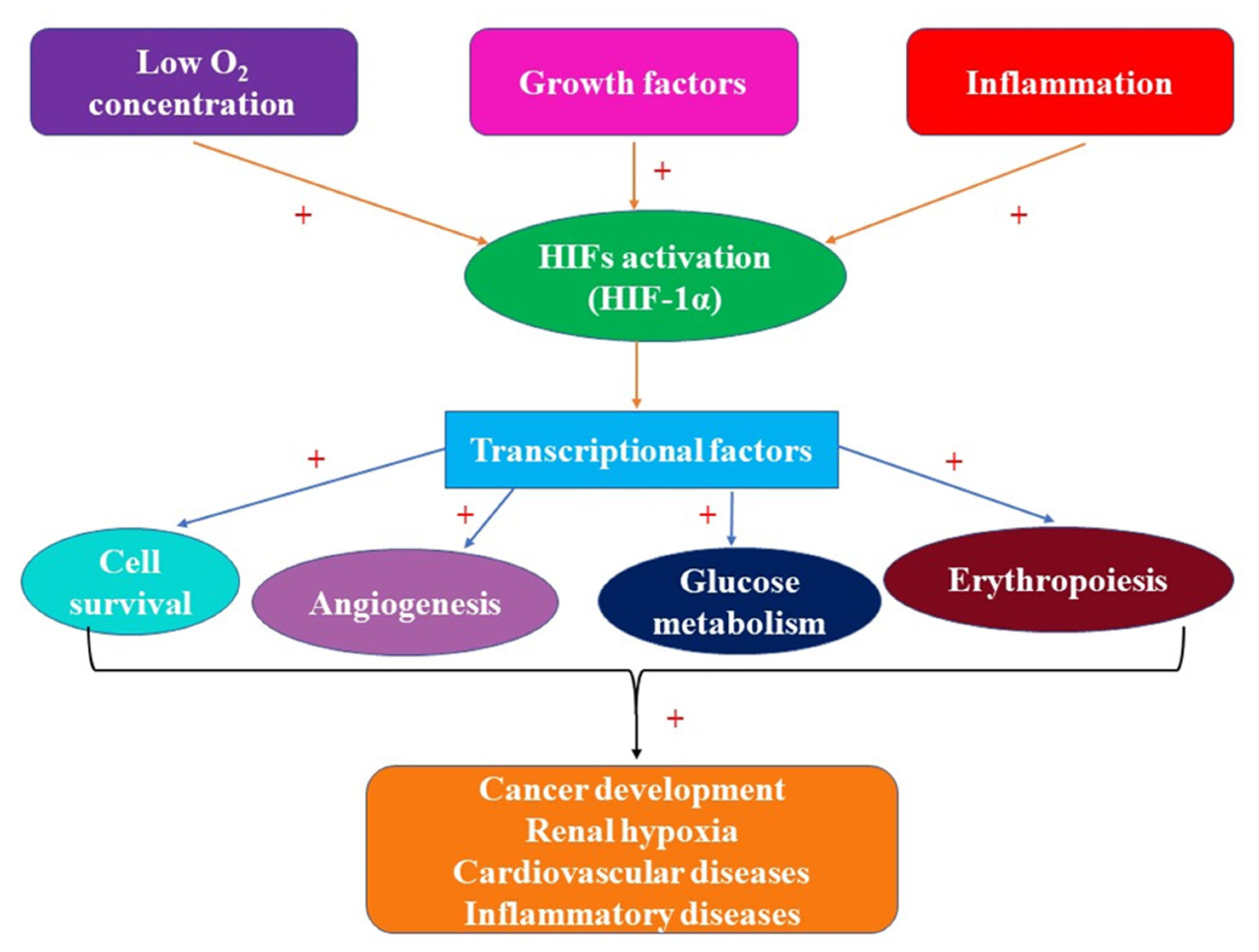 Ijms 23 02470 g001 Ijms 23 02470 g001