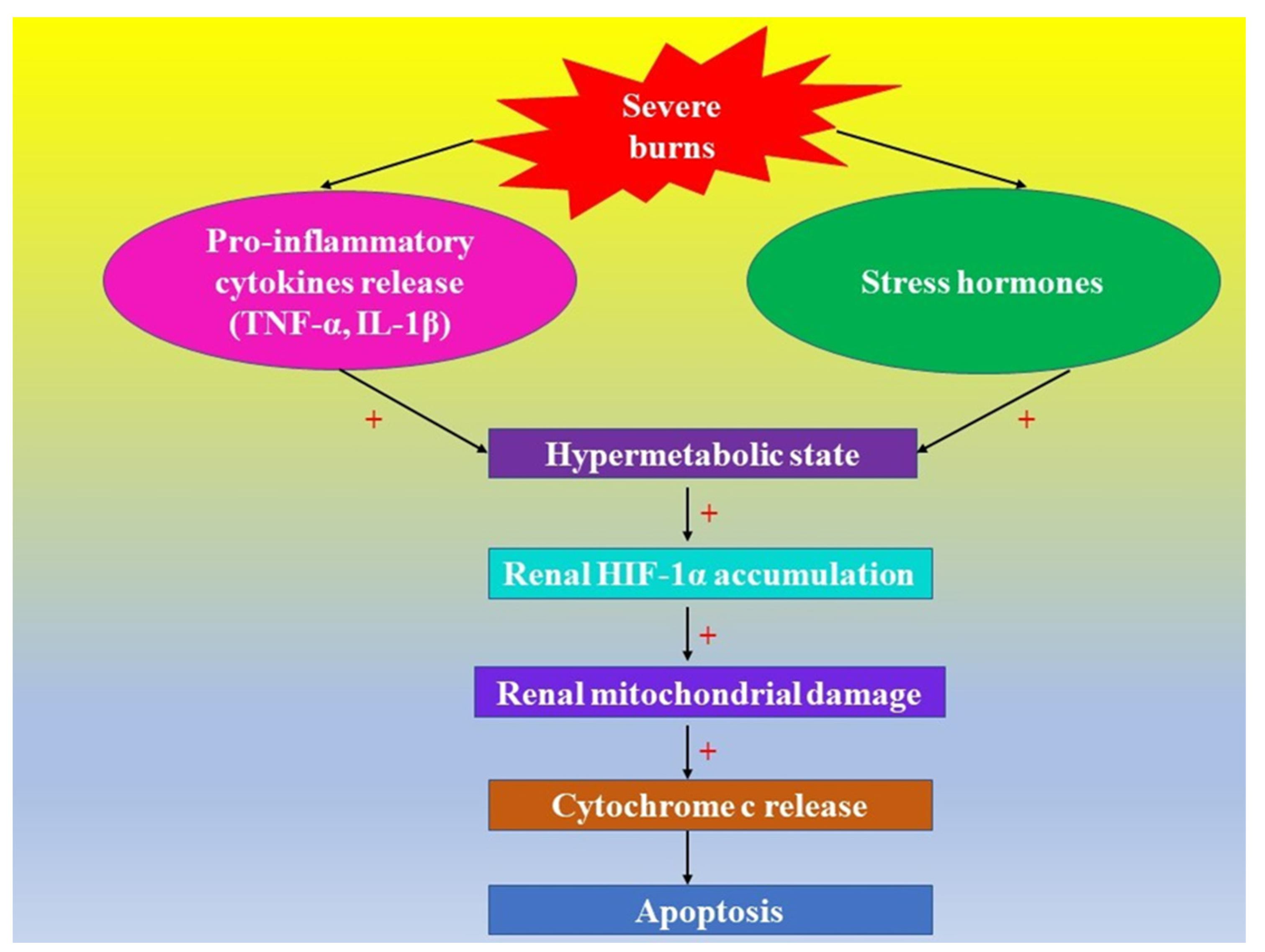 Ijms 23 02470 g002 Ijms 23 02470 g002