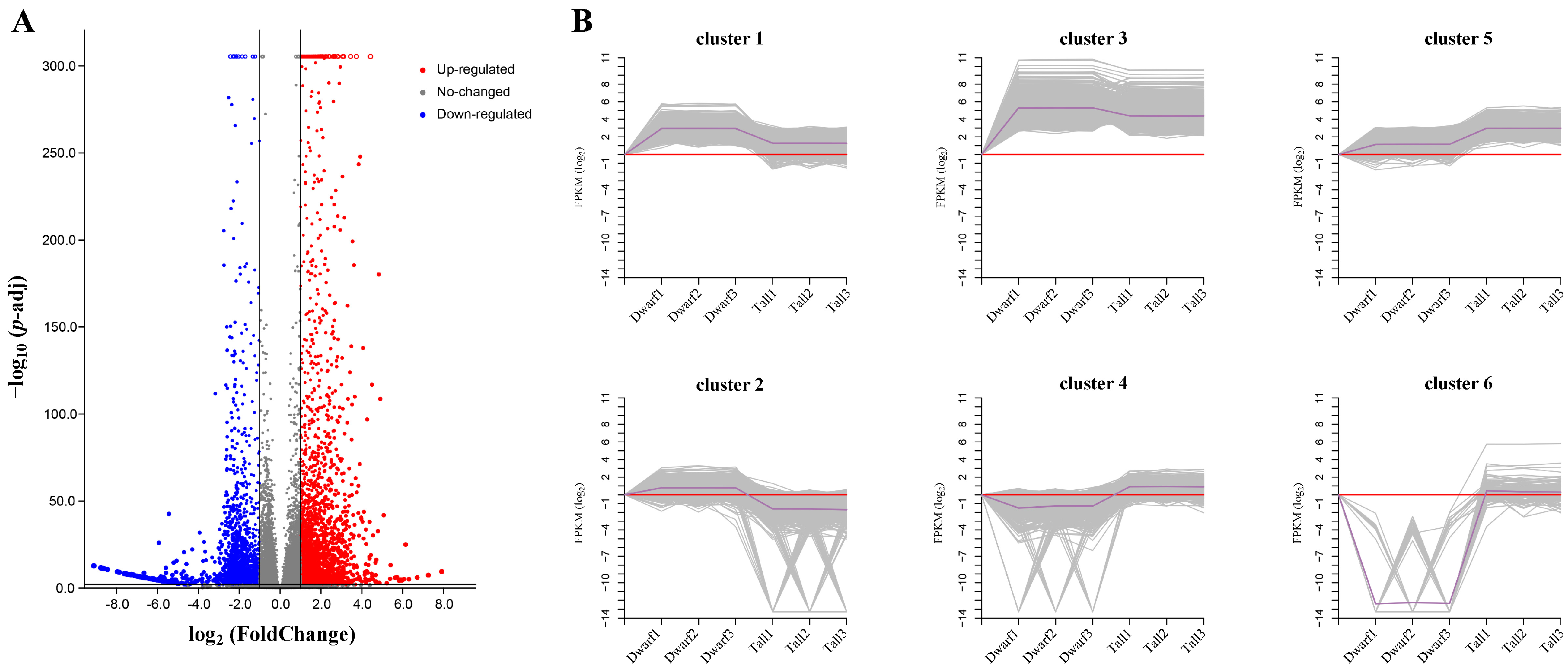 Ijms 23 02472 g004 550