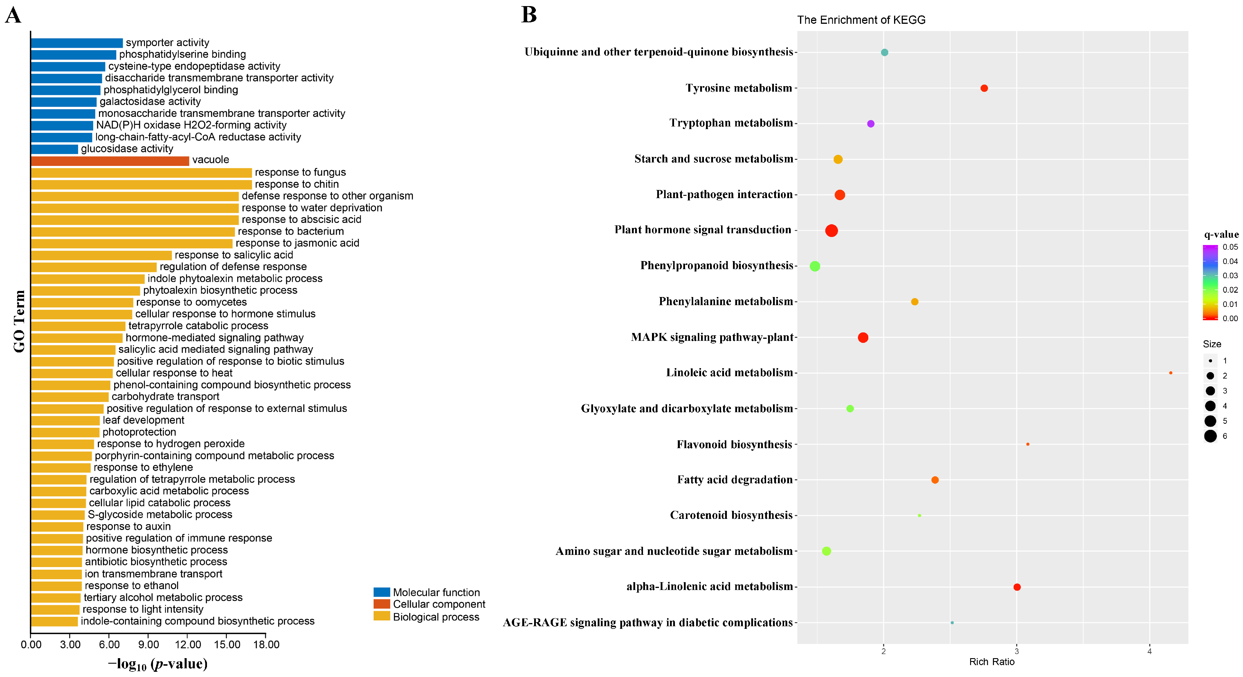 Ijms 23 02472 g005 550