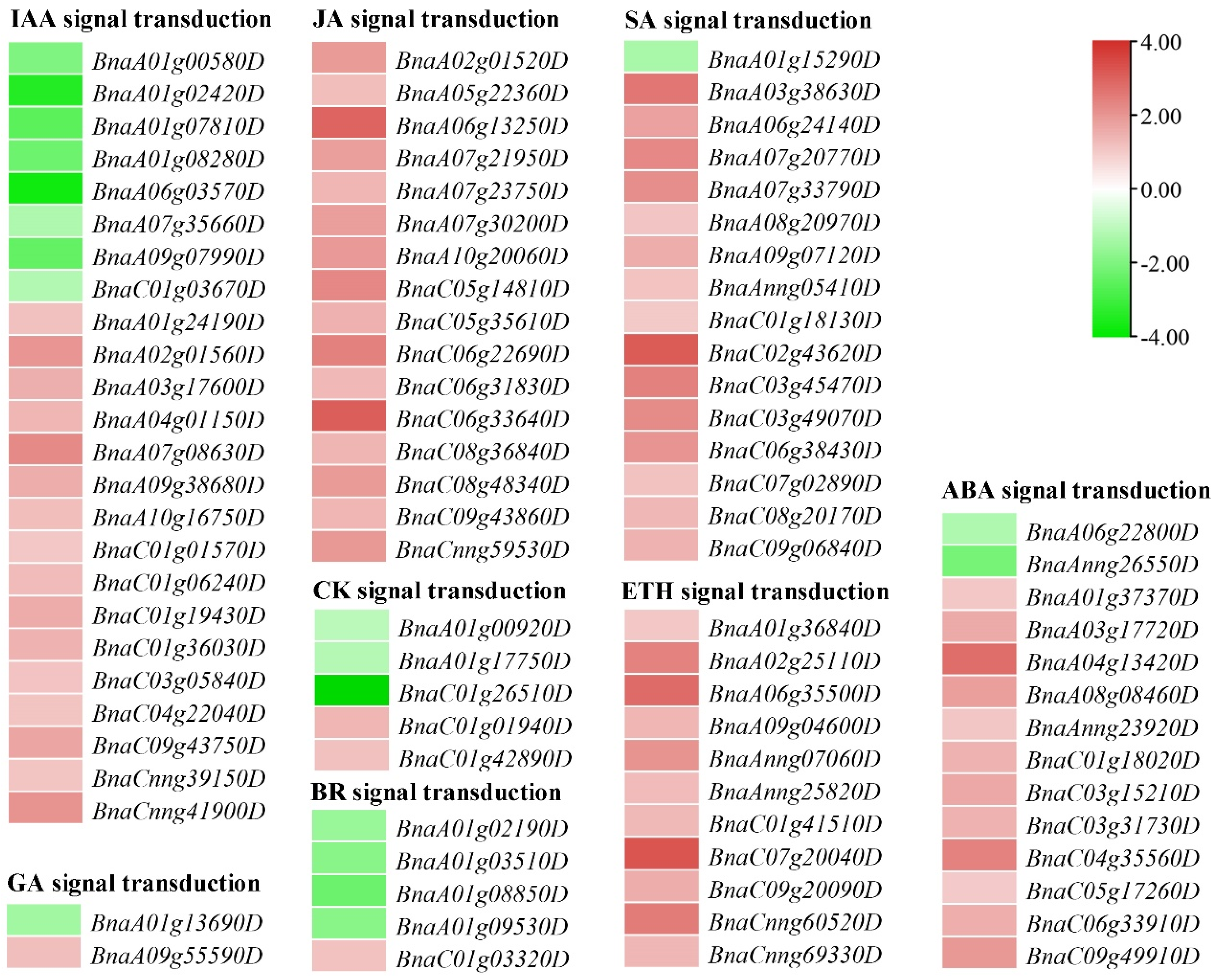 Ijms 23 02472 g006 550