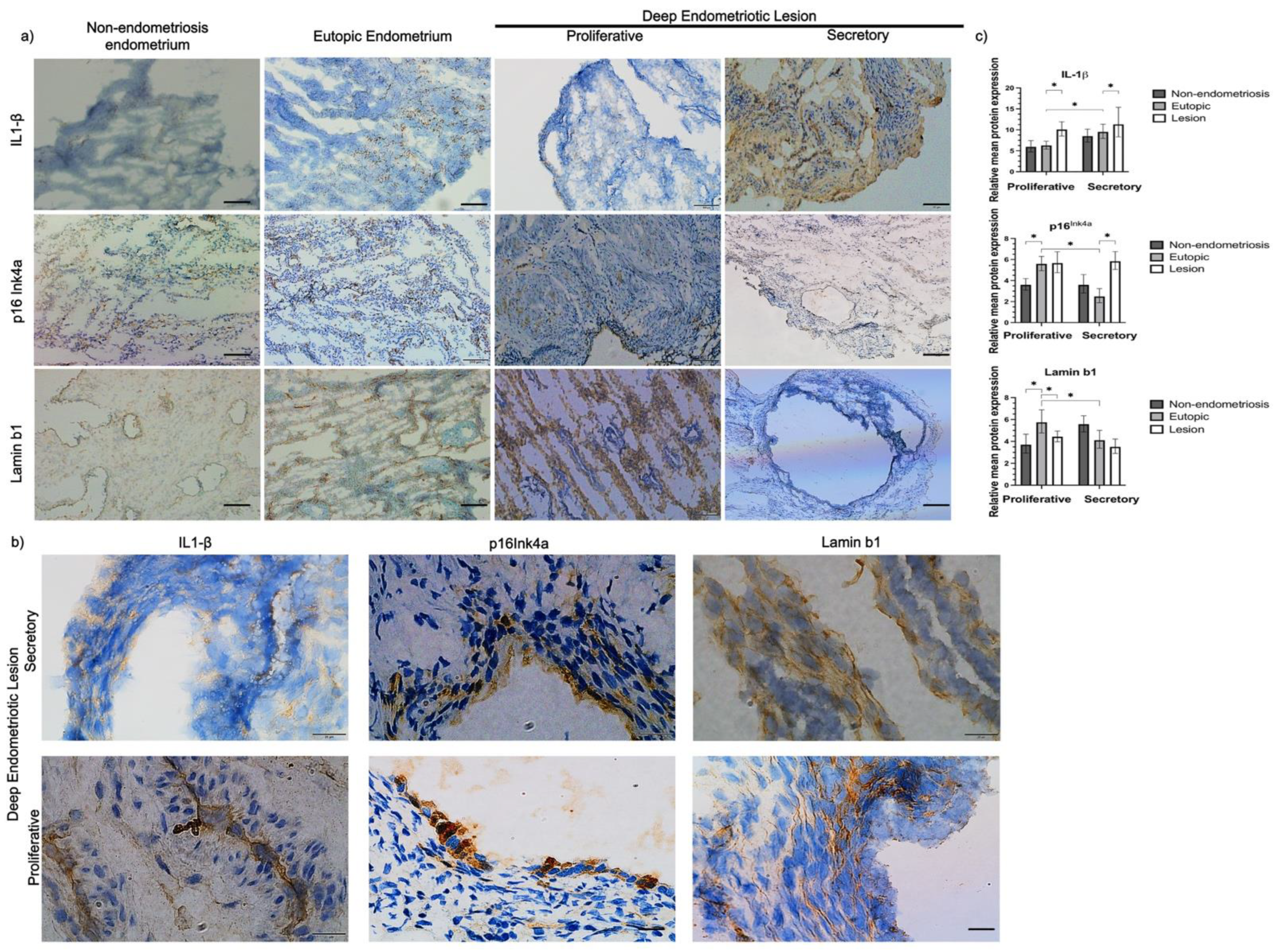 Ijms 23 02476 g001 Ijms 23 02476 g001