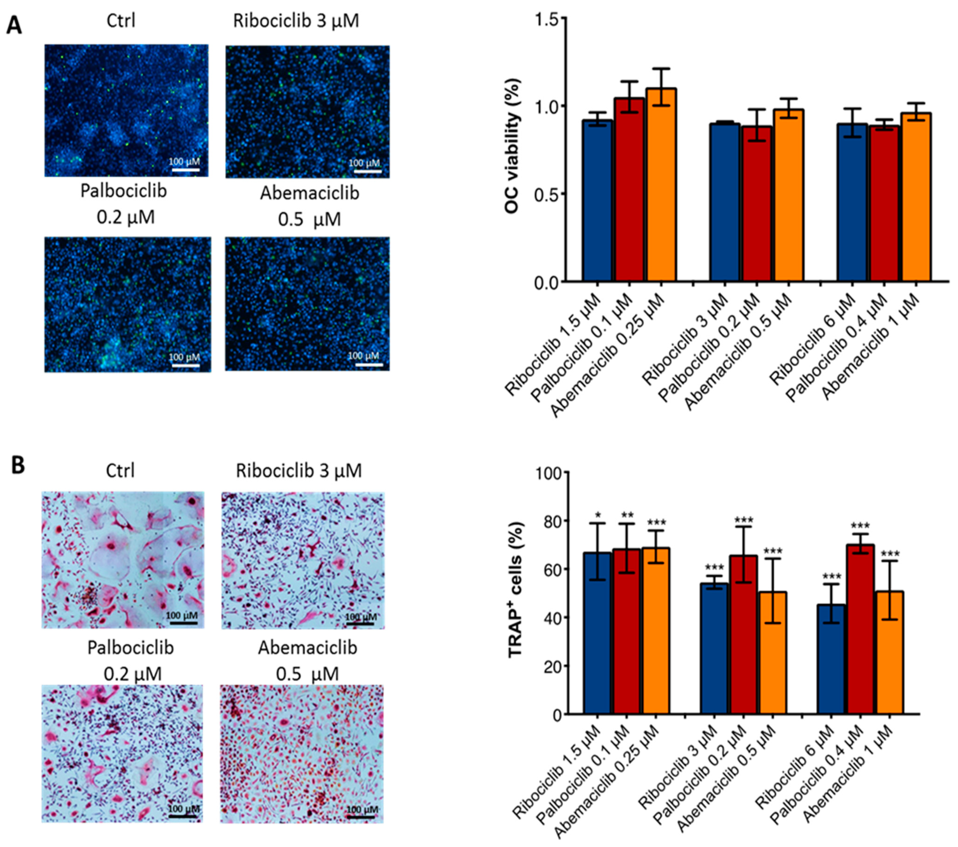 Ijms 23 02477 g002 550