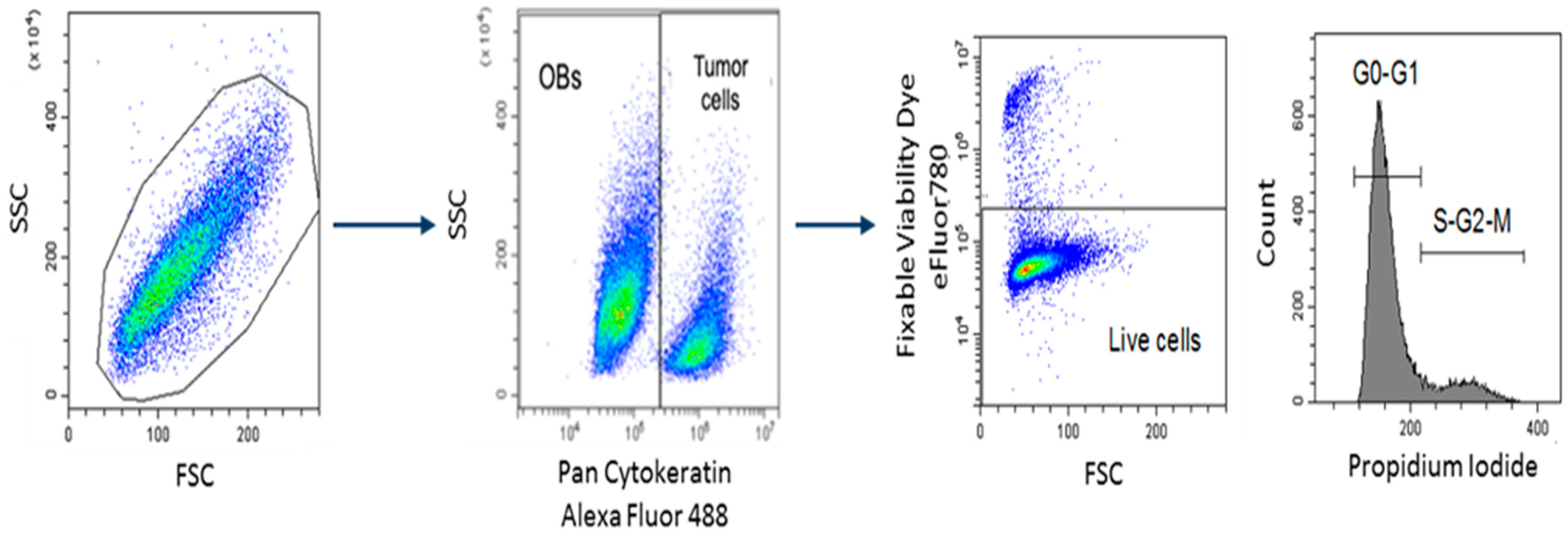 Ijms 23 02477 g006 550