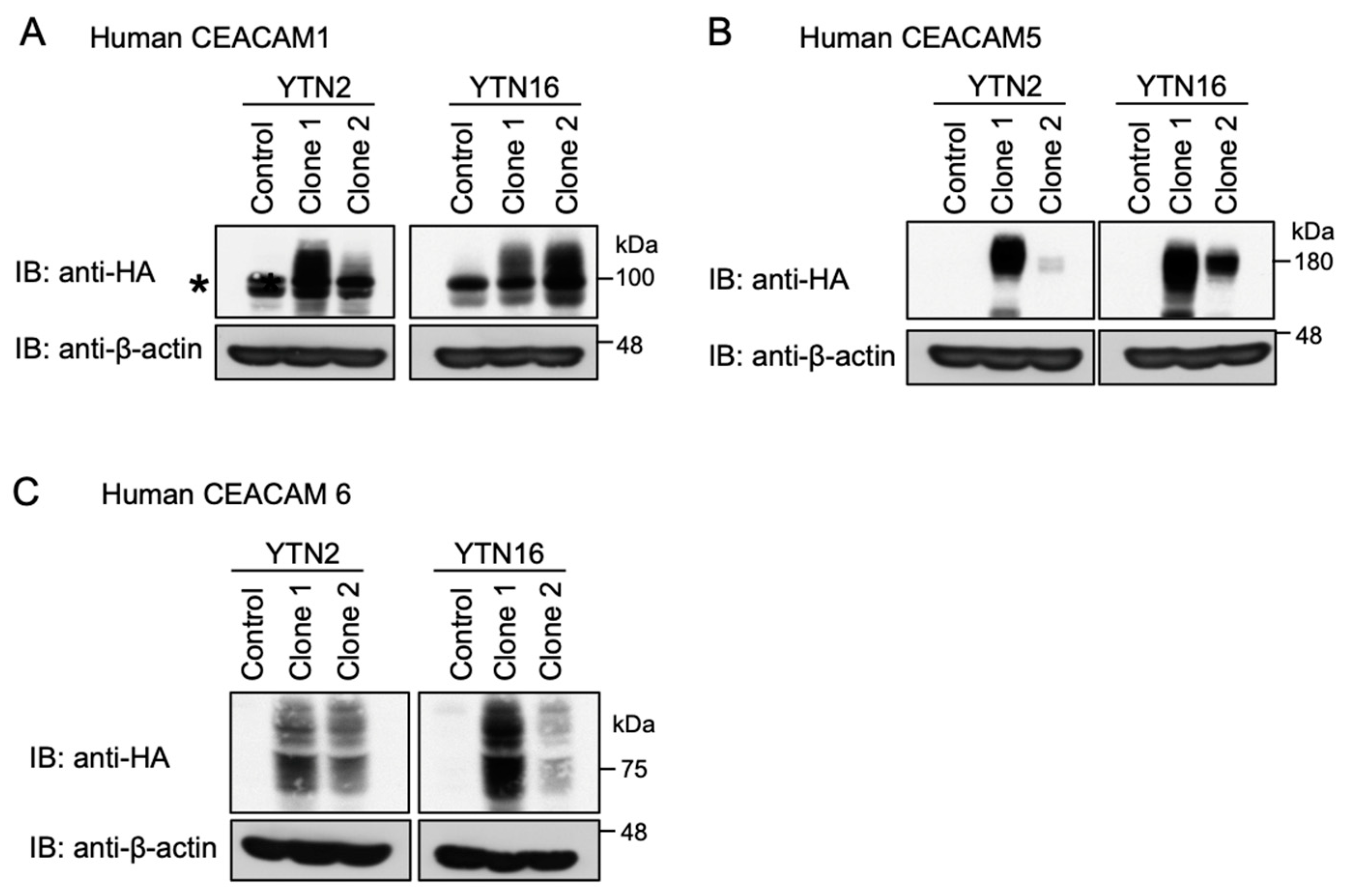 Ijms 23 02492 g003 Ijms 23 02492 g003