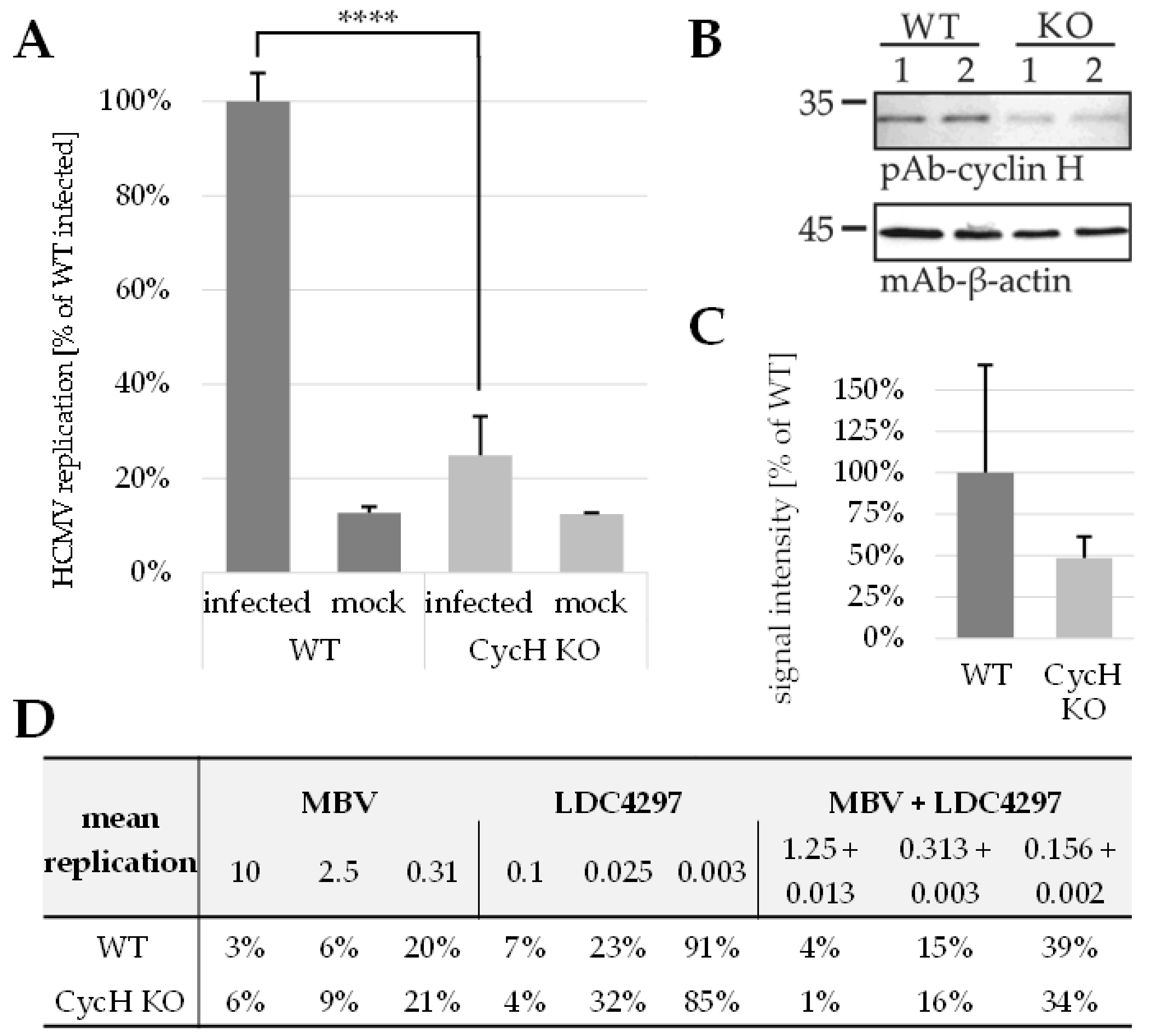 Ijms 23 02493 g006 Ijms 23 02493 g006