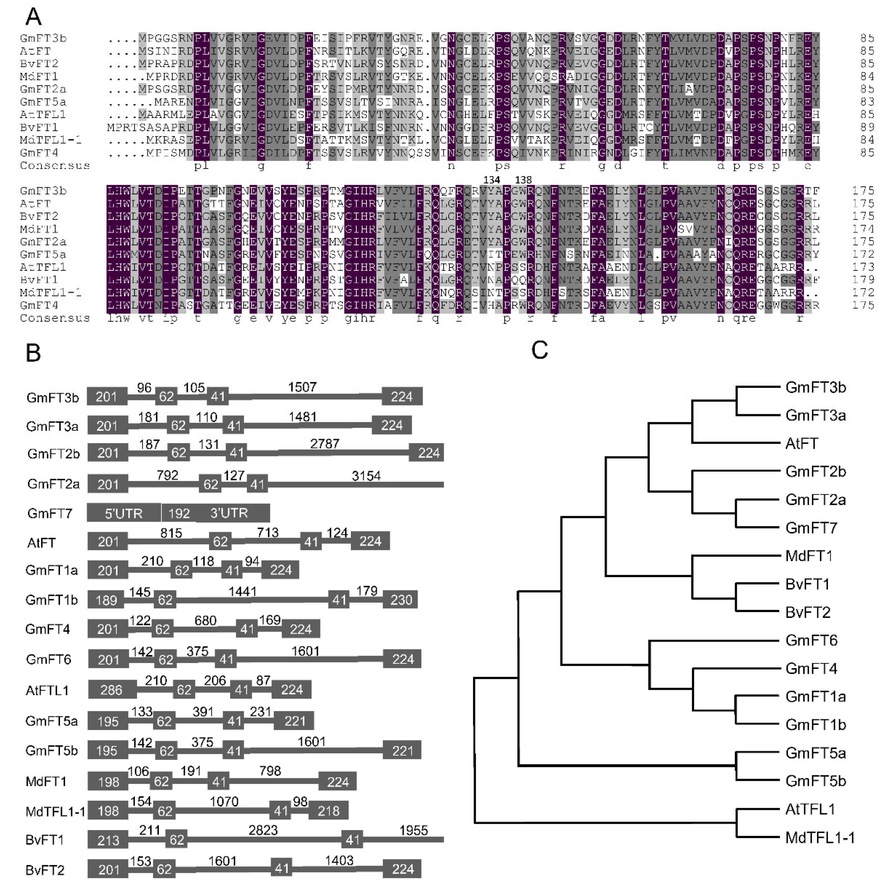 Ijms 23 02497 g001 550