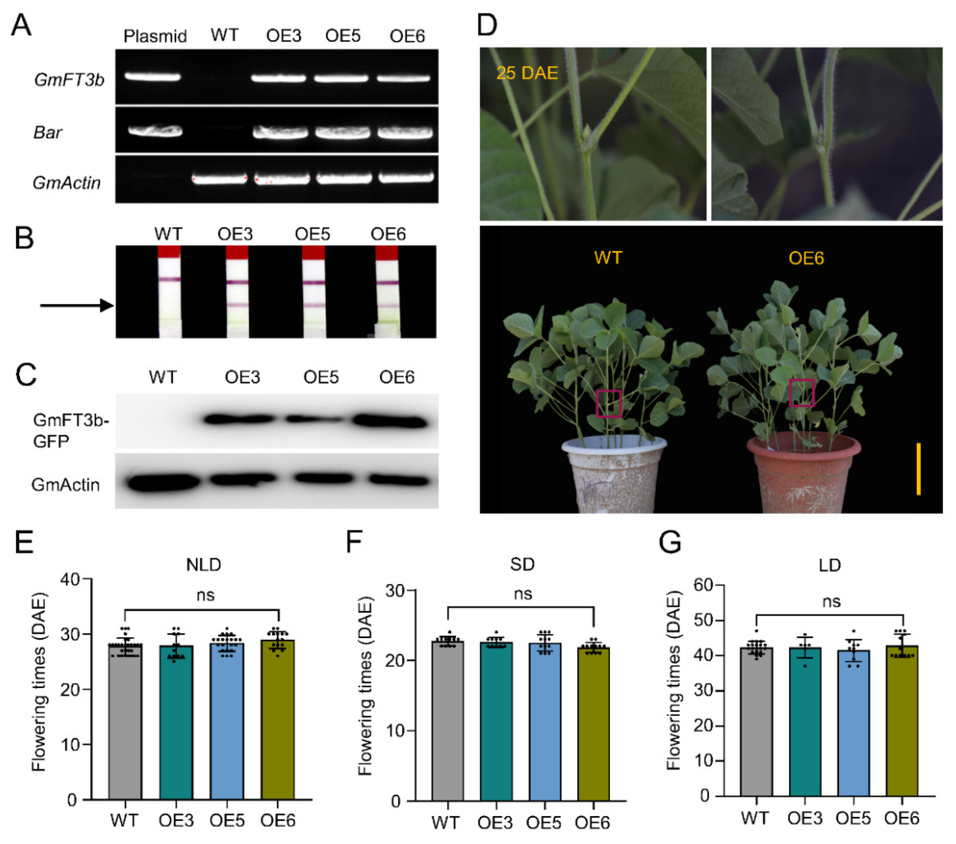 Ijms 23 02497 g004 550