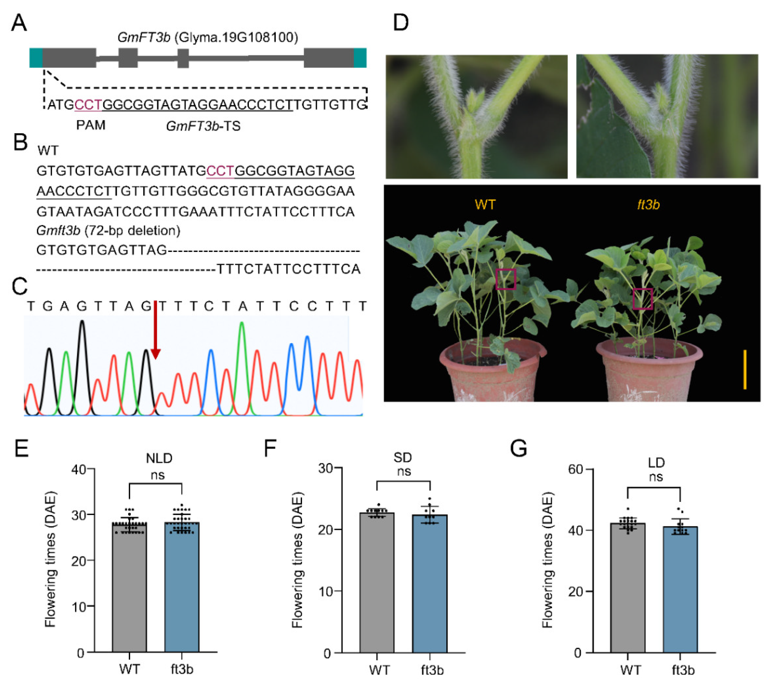 Ijms 23 02497 g005 550