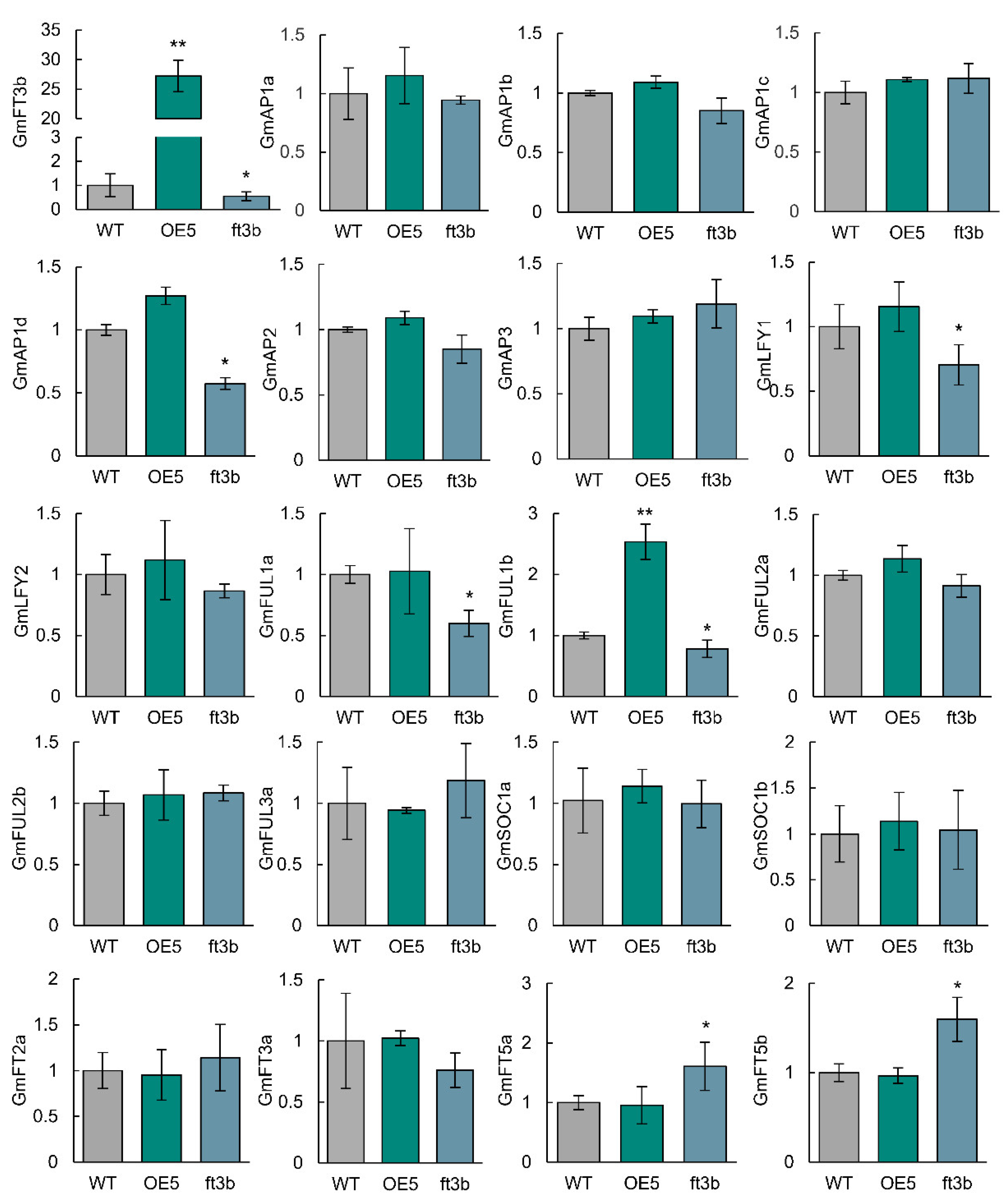 Ijms 23 02497 g006 550