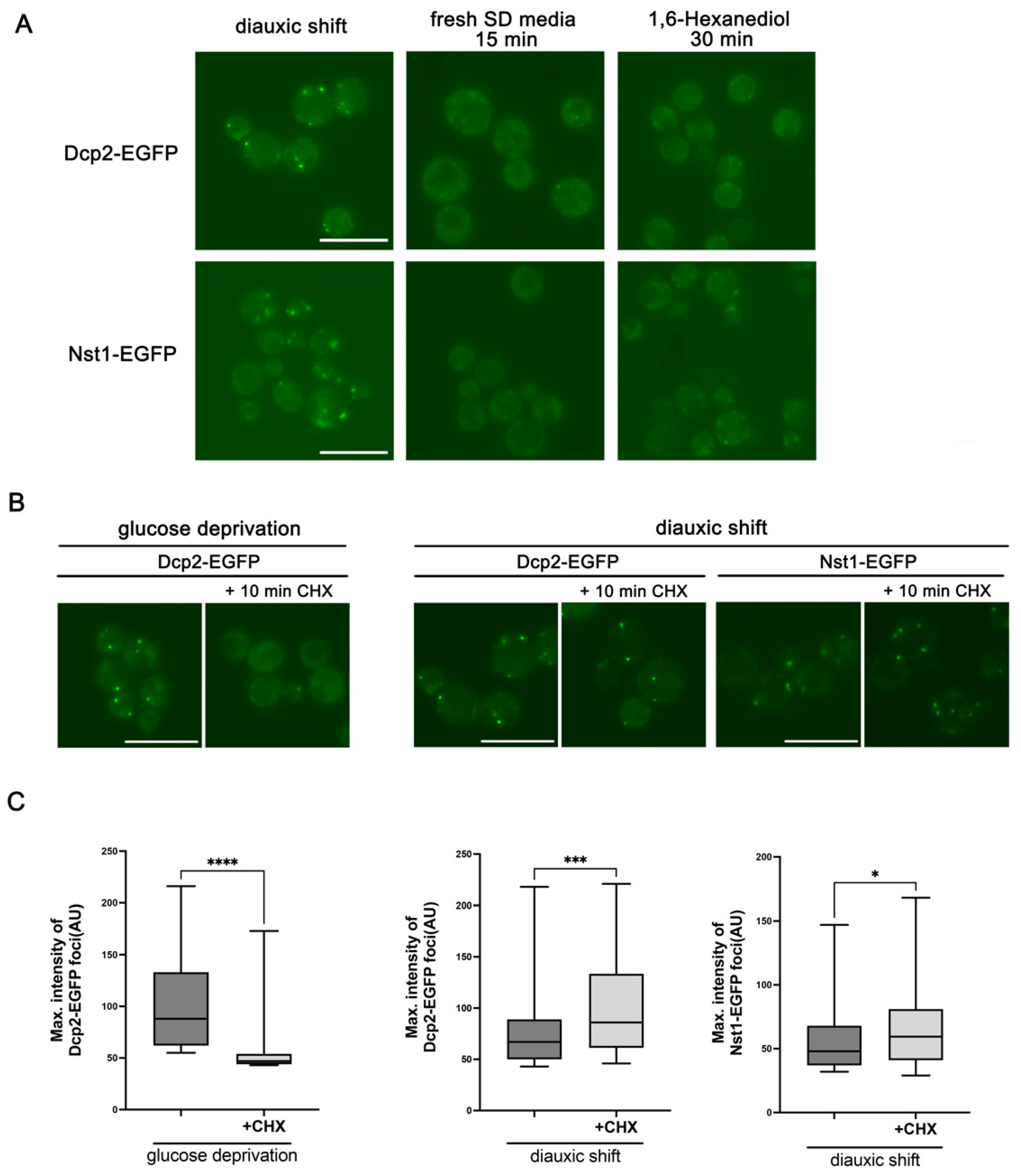 Ijms 23 02501 g002 550