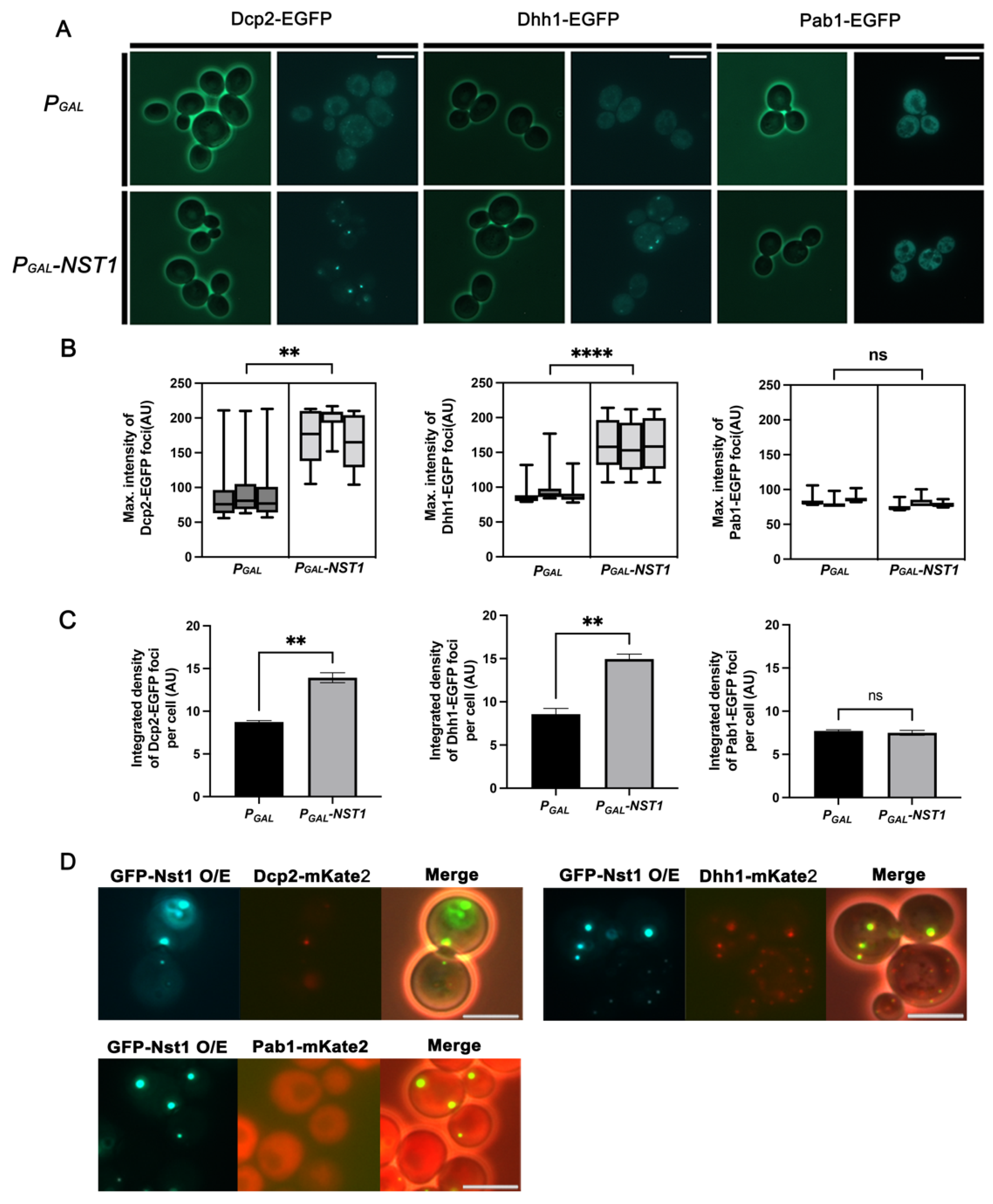 Ijms 23 02501 g003 550