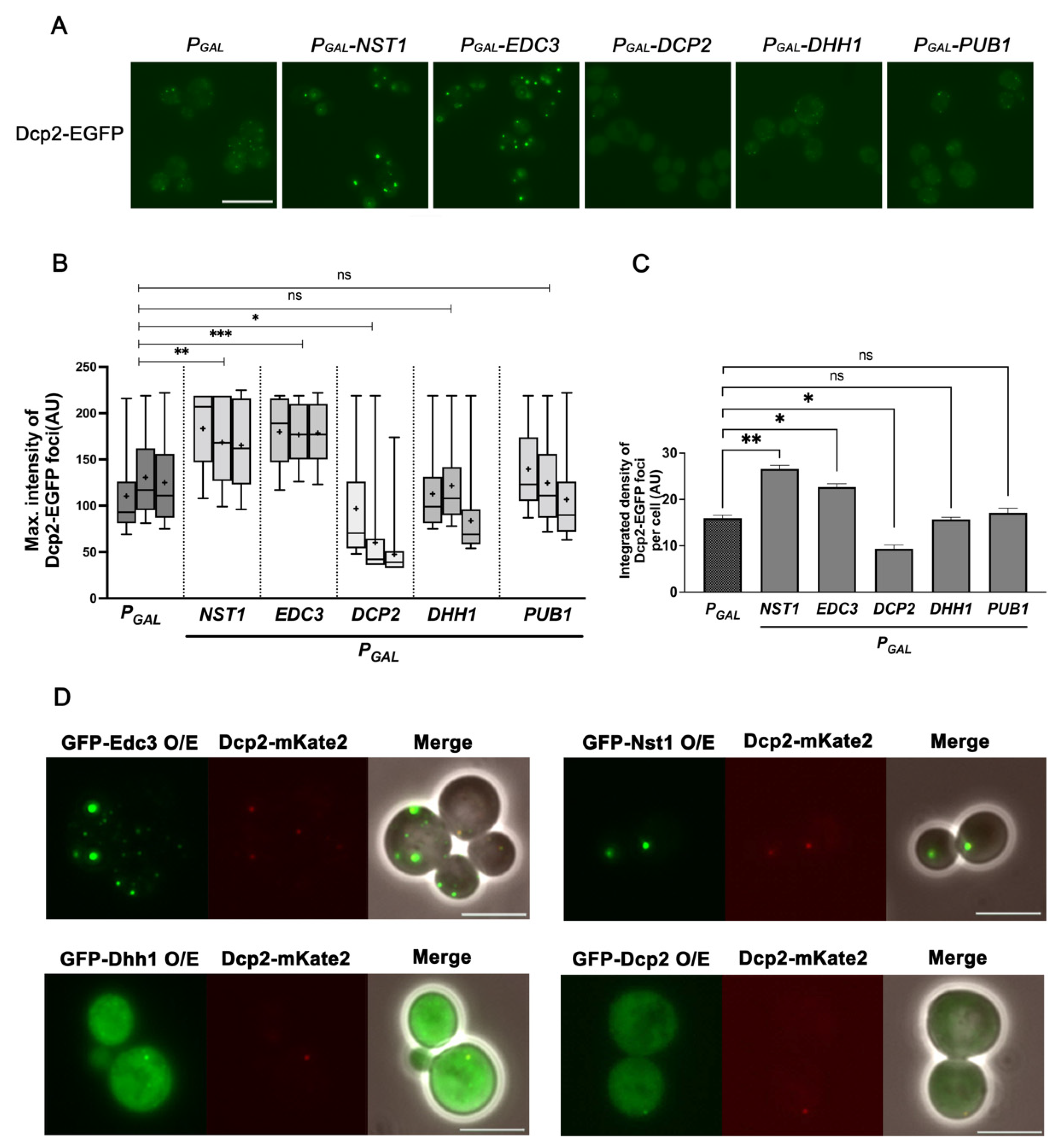 Ijms 23 02501 g004 550