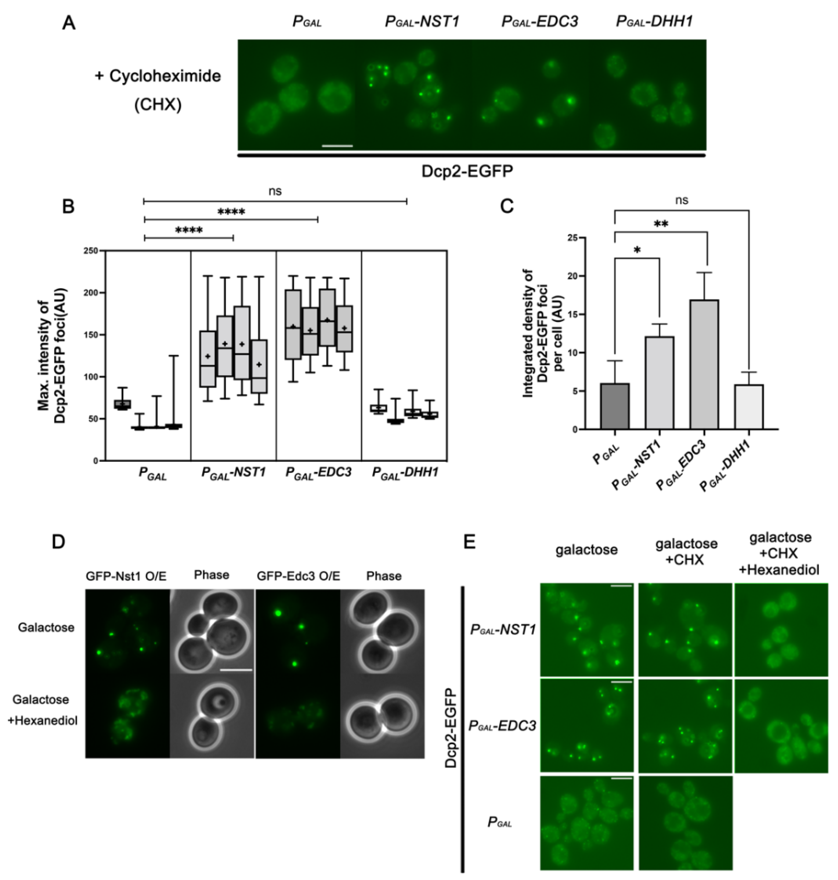 Ijms 23 02501 g005 550