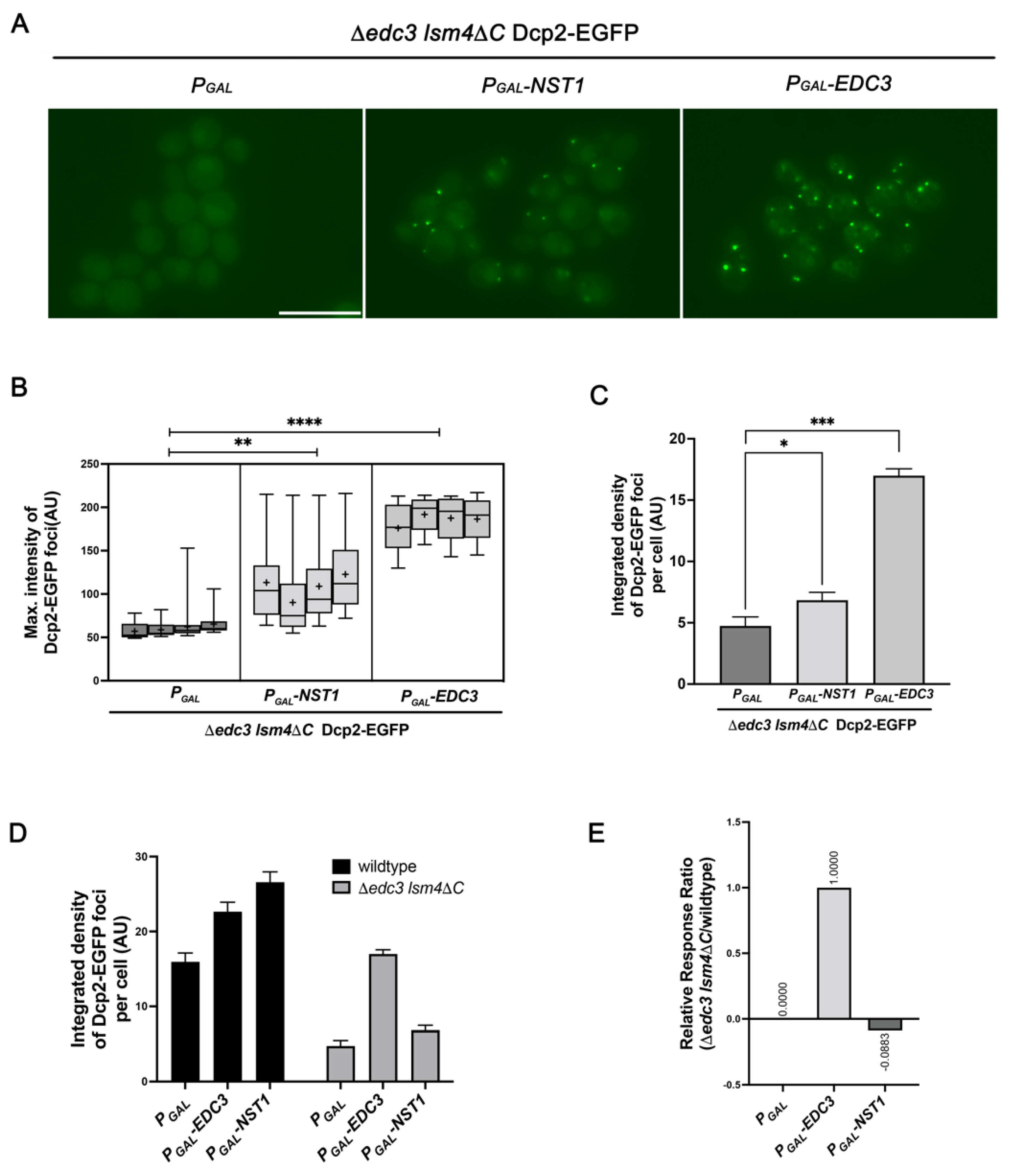 Ijms 23 02501 g006 550