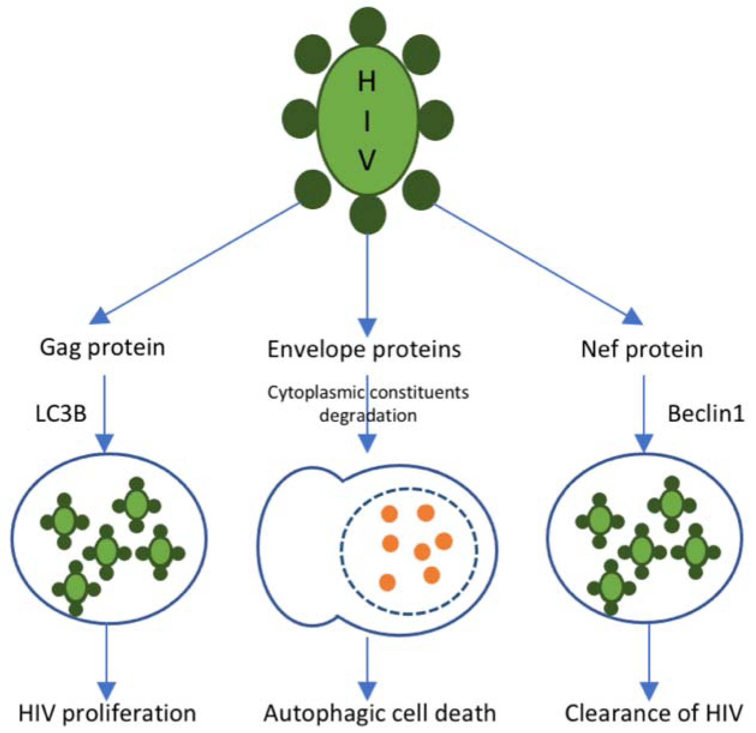 Ijms 23 02504 g001 550