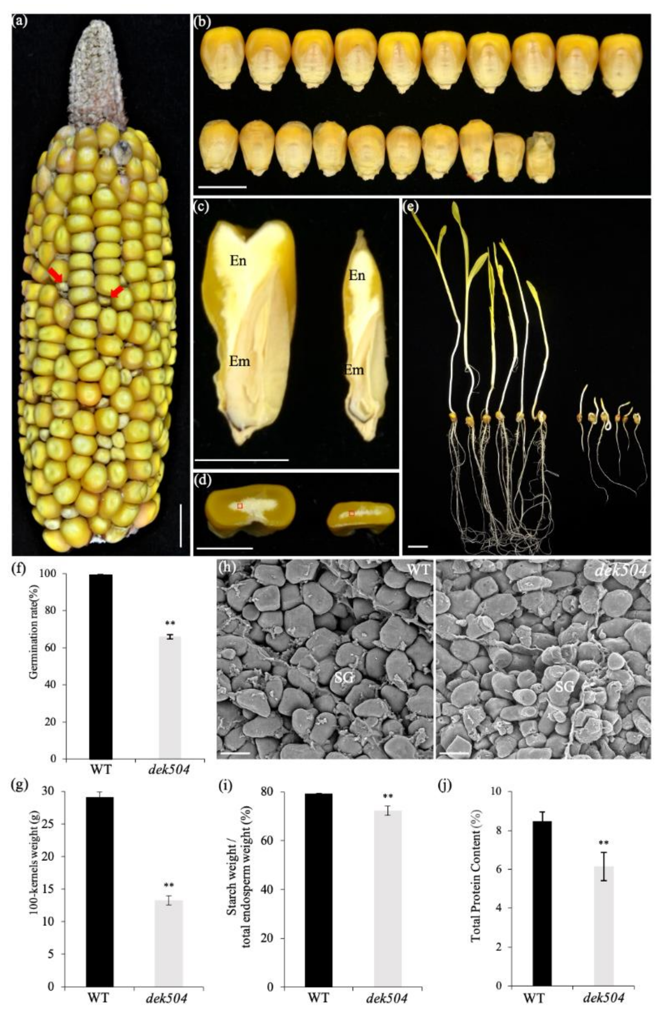 Ijms 23 02513 g001 550