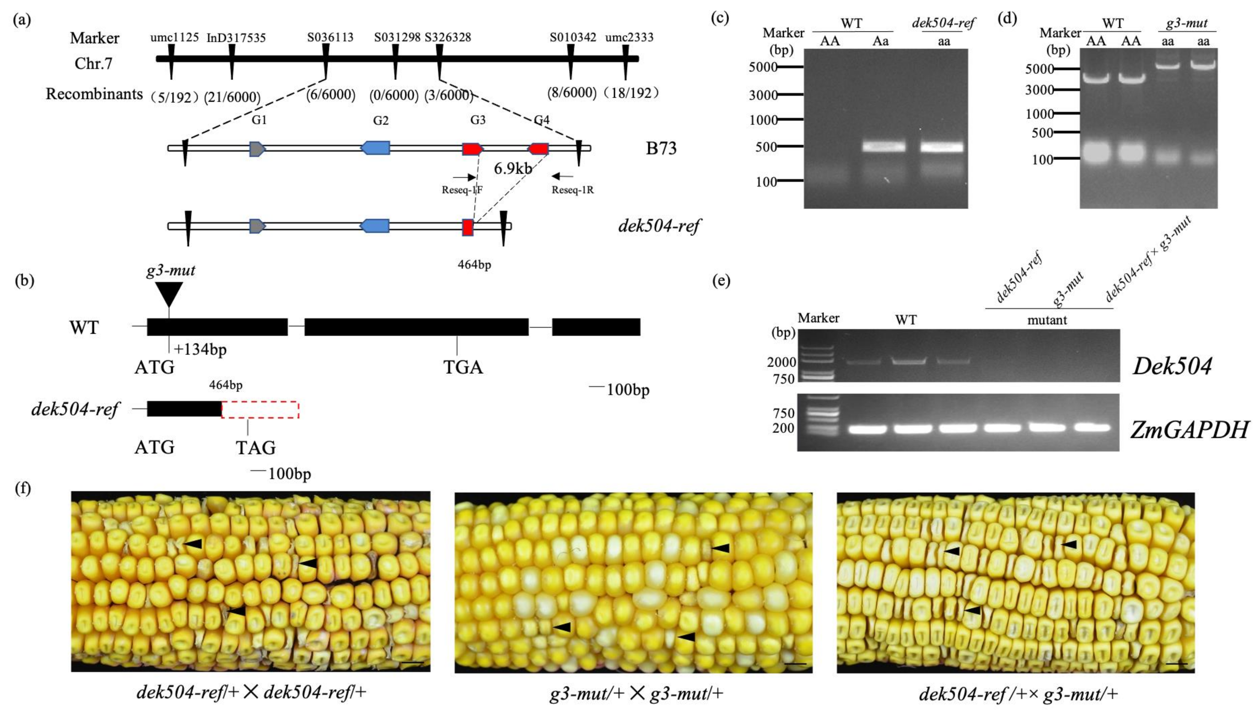 Ijms 23 02513 g003 550