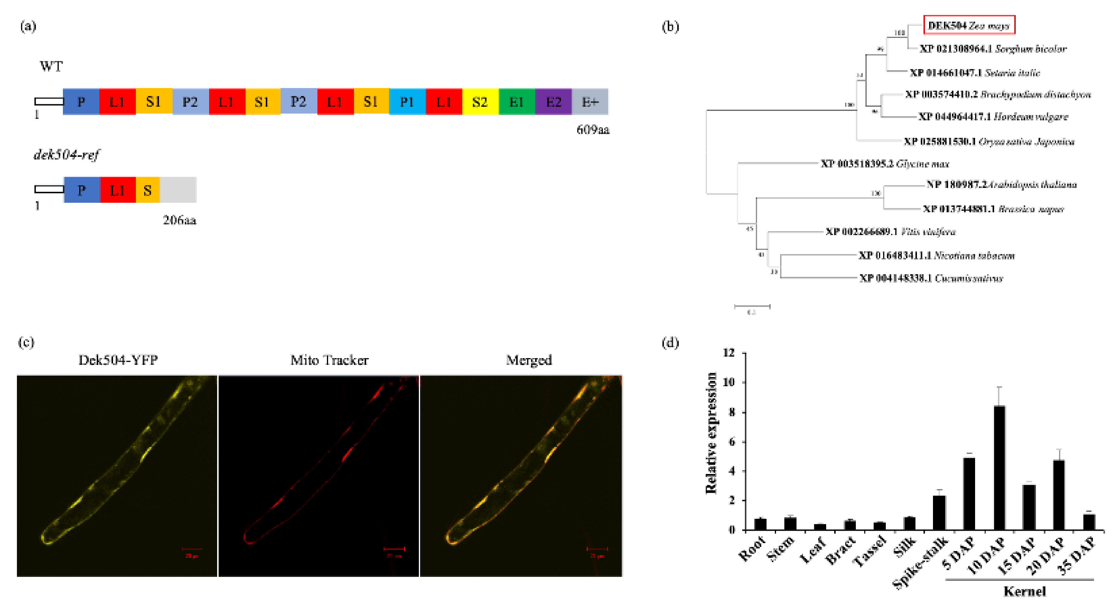 Ijms 23 02513 g004 550