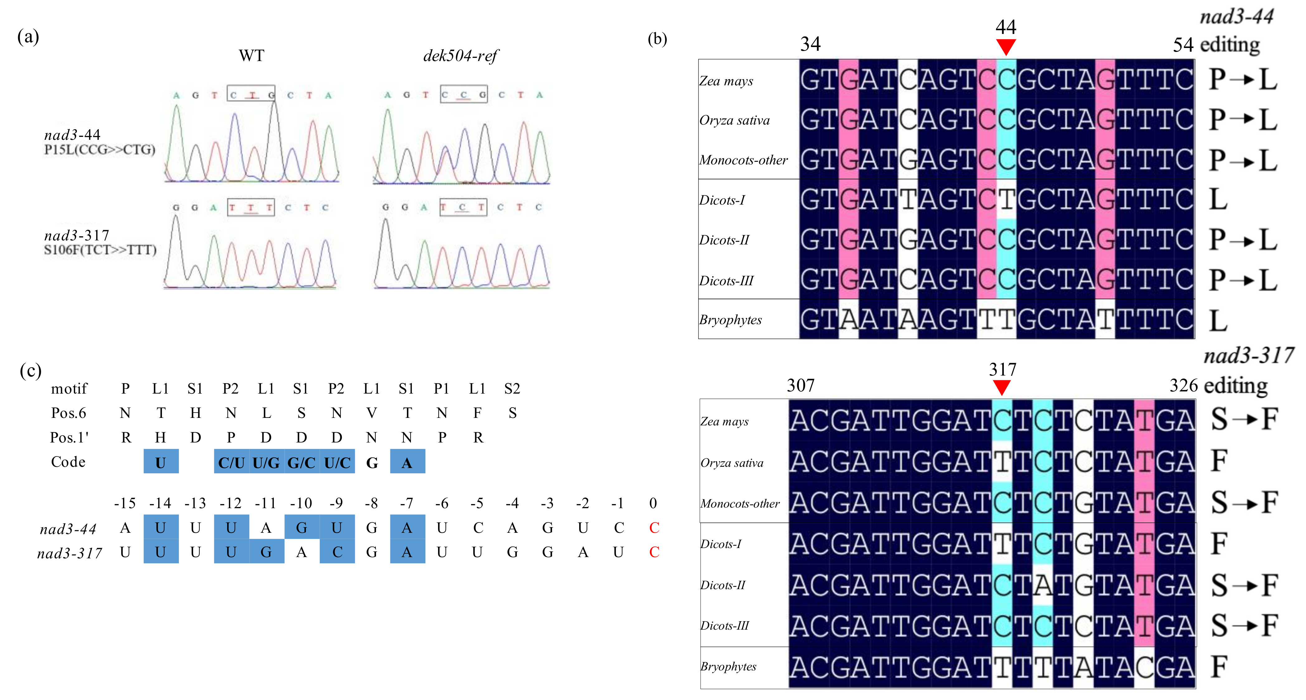 Ijms 23 02513 g005 550