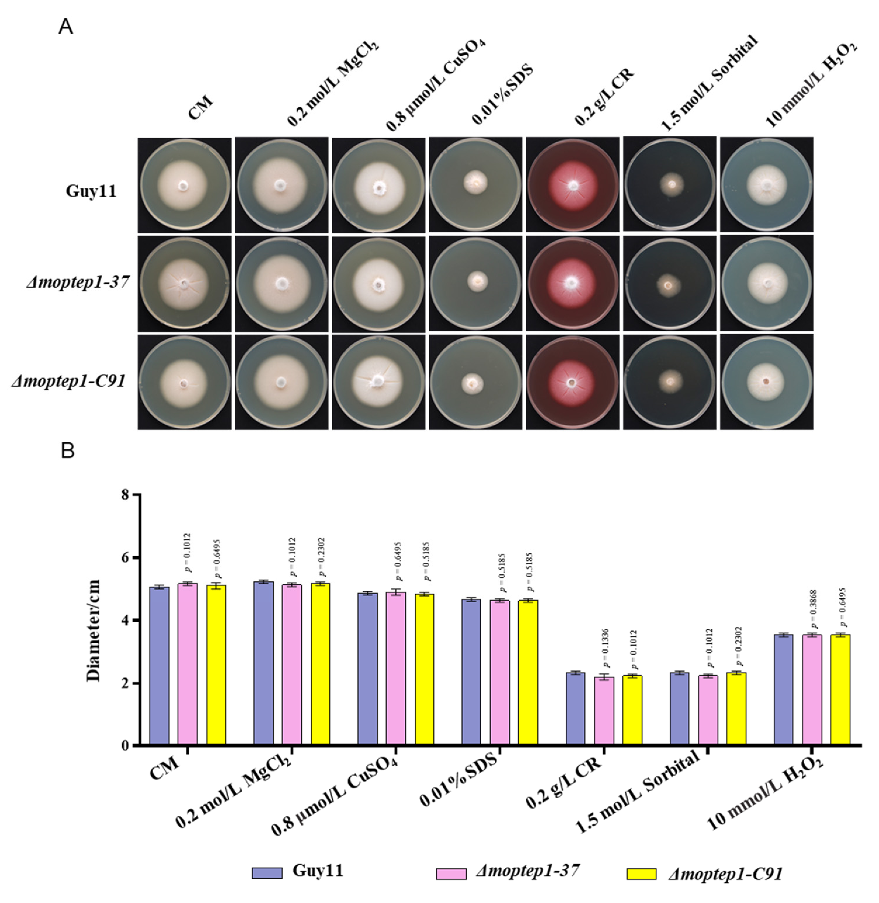 Ijms 23 02515 g005 550