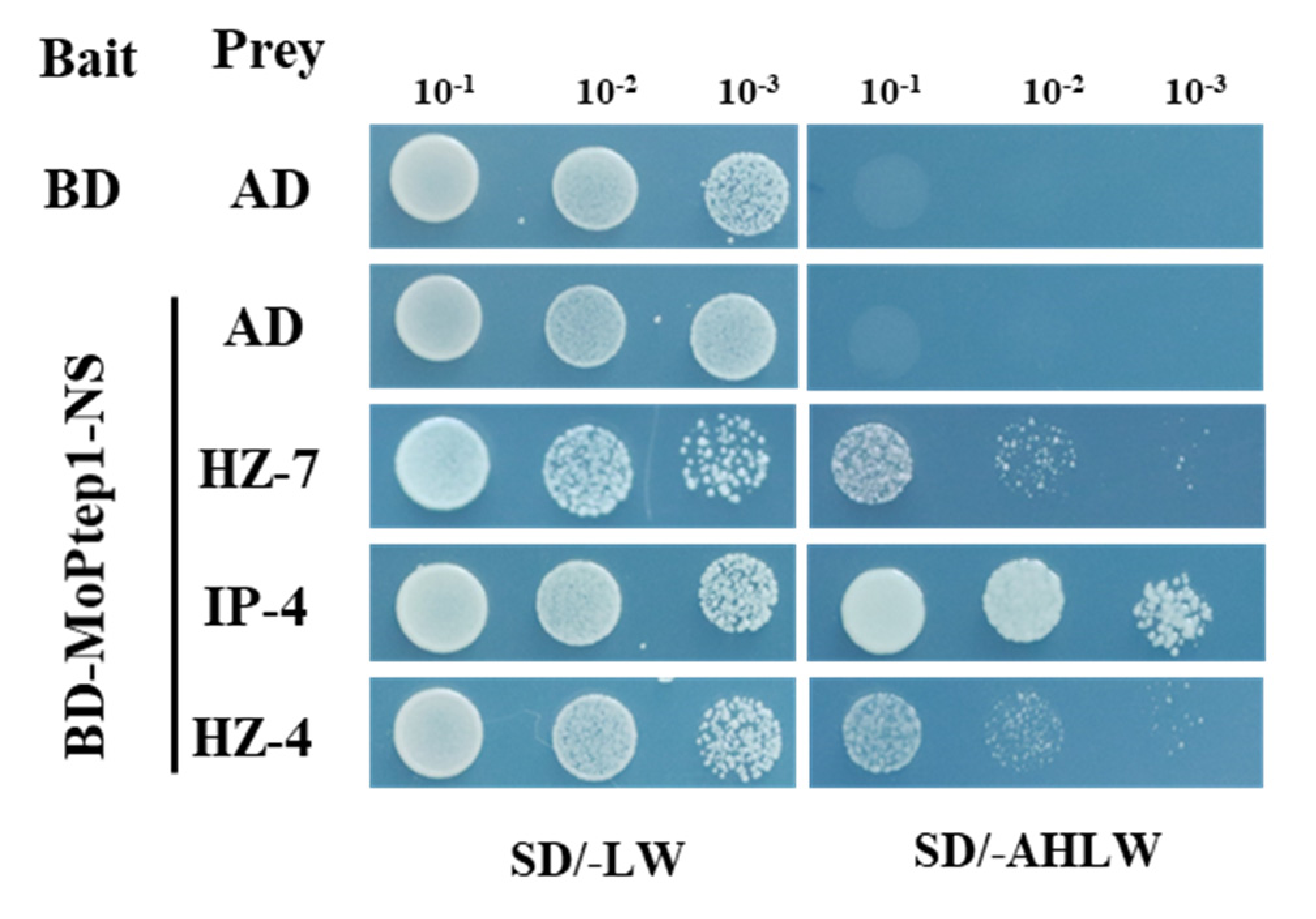 Ijms 23 02515 g008 550