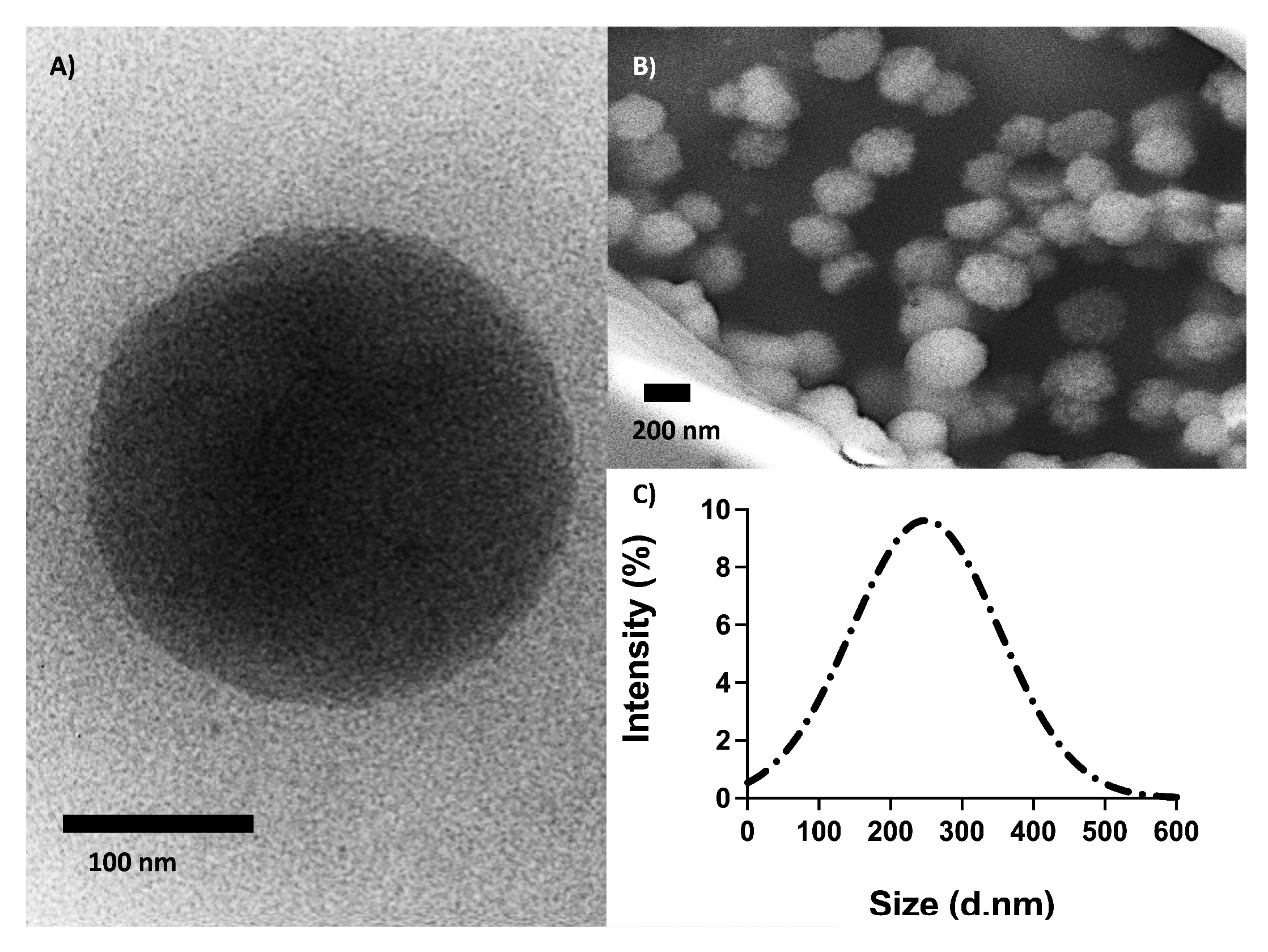 Ijms 23 02534 g003 550