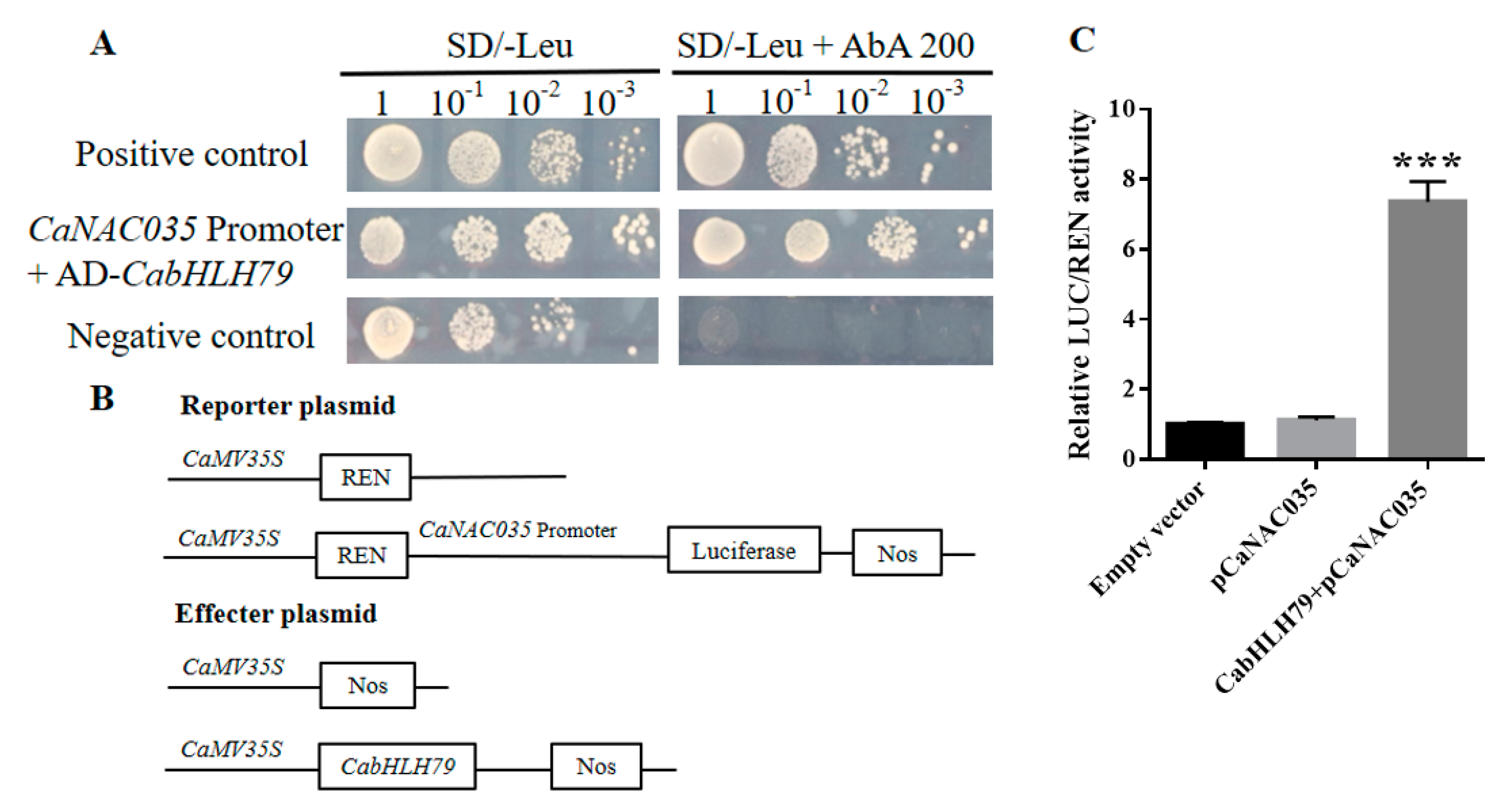 Ijms 23 02537 g001 550