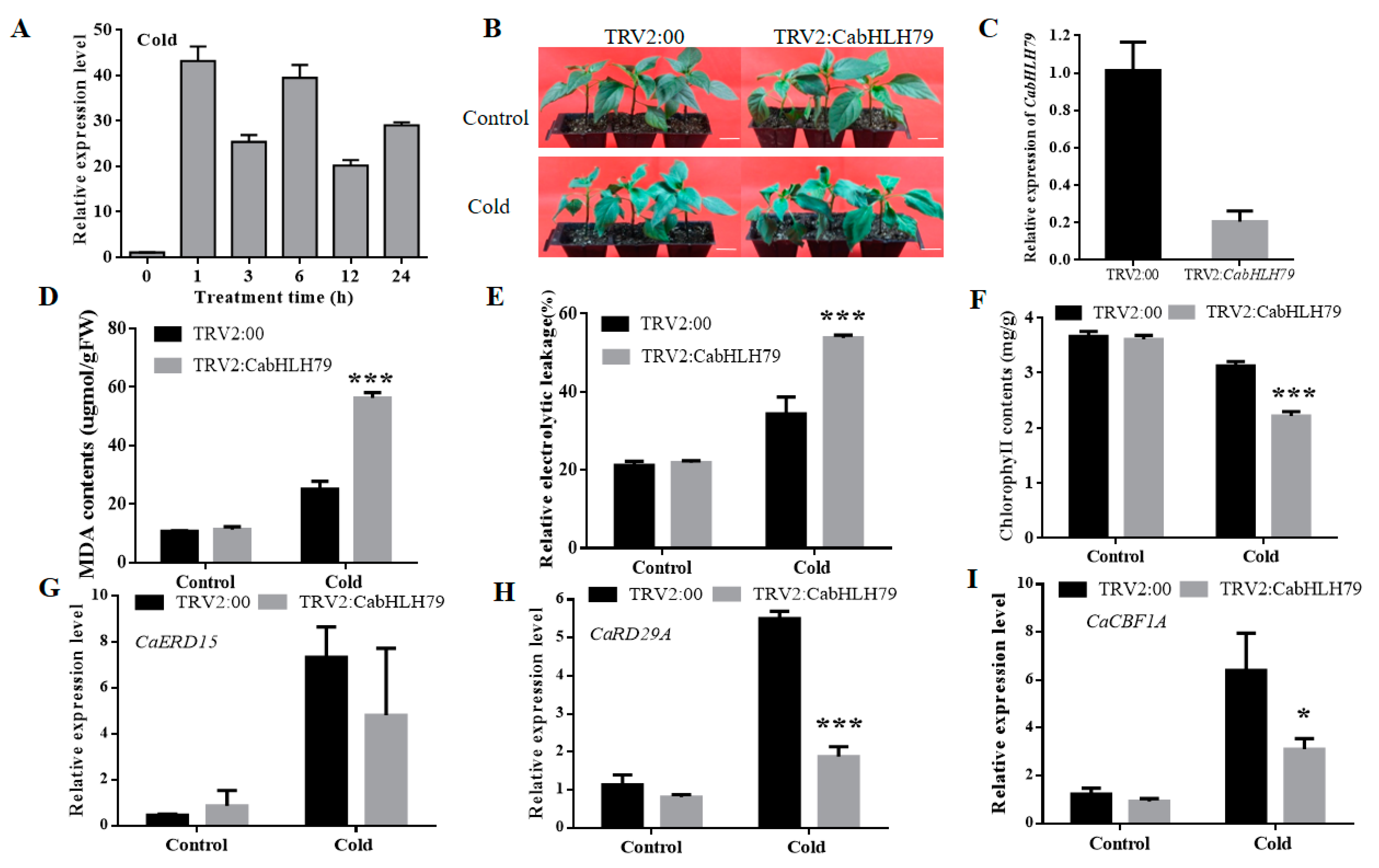 Ijms 23 02537 g002 550